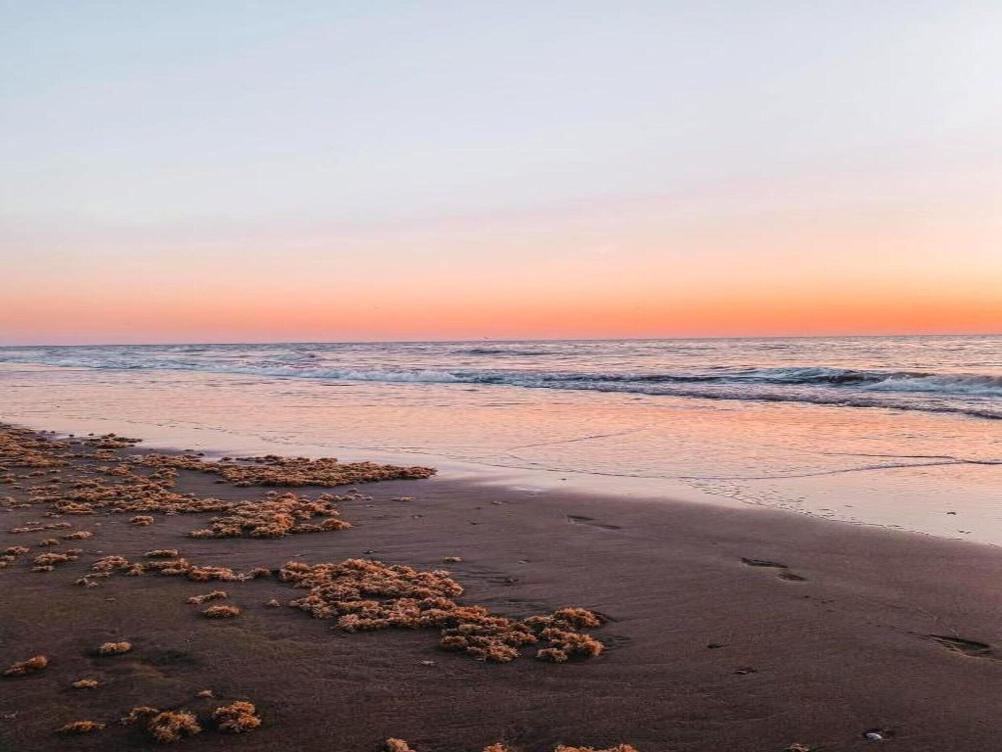 De omgeving van Bungalowpark de Gouden Spar 4 in Noordwijk