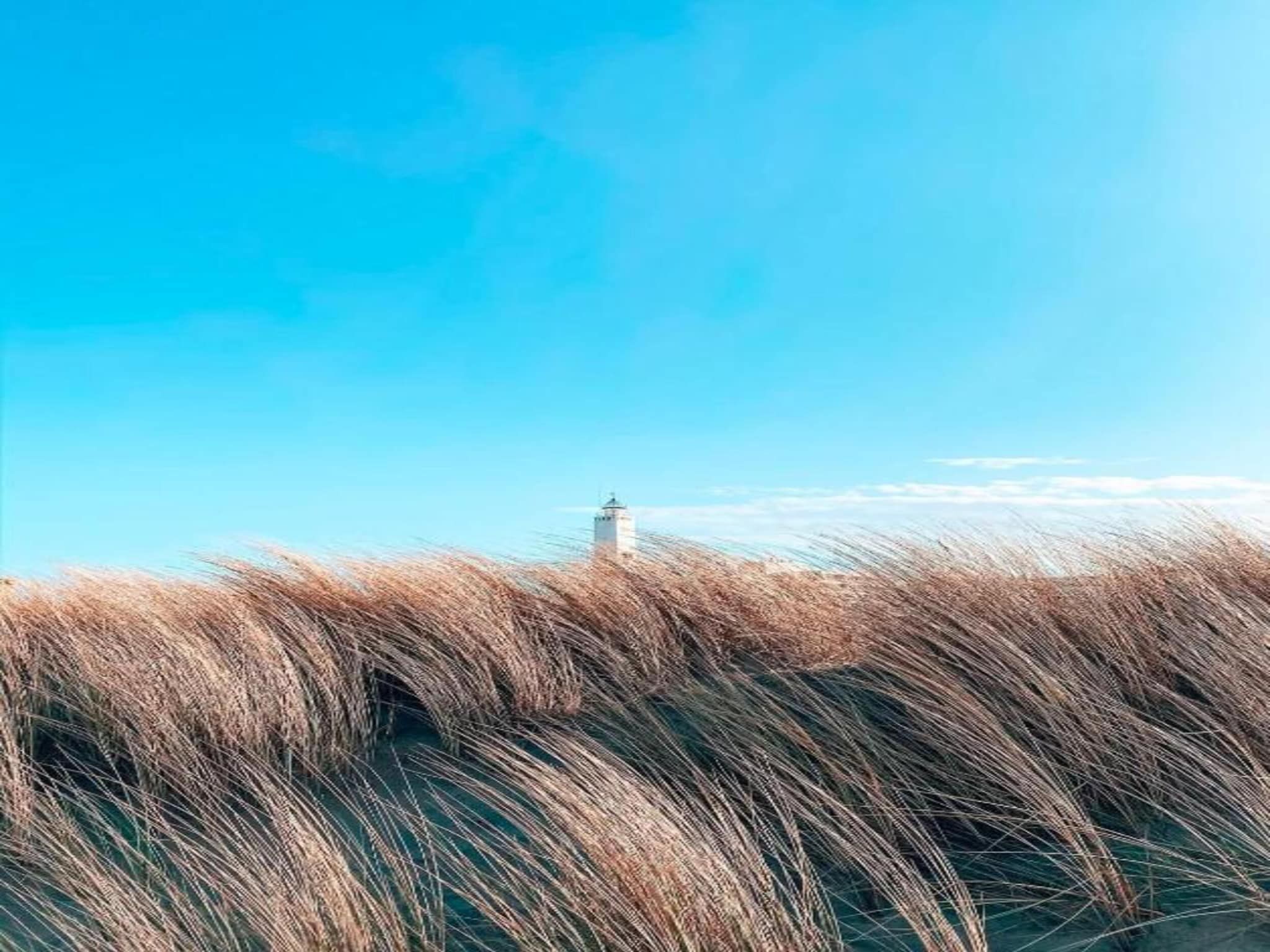 De omgeving van Bungalowpark de Gouden Spar 4 in Noordwijk