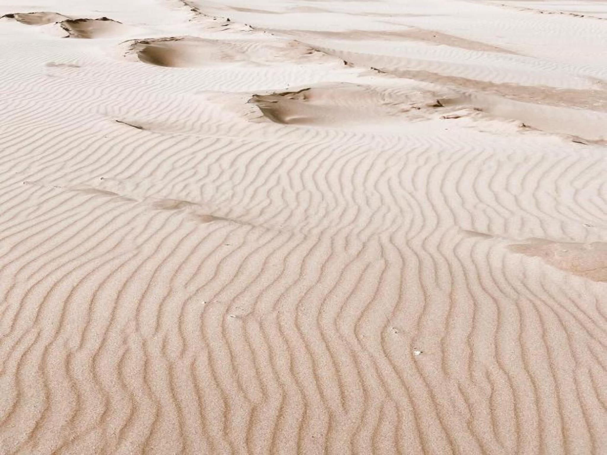 De omgeving van Bungalowpark de Gouden Spar 4 in Noordwijk