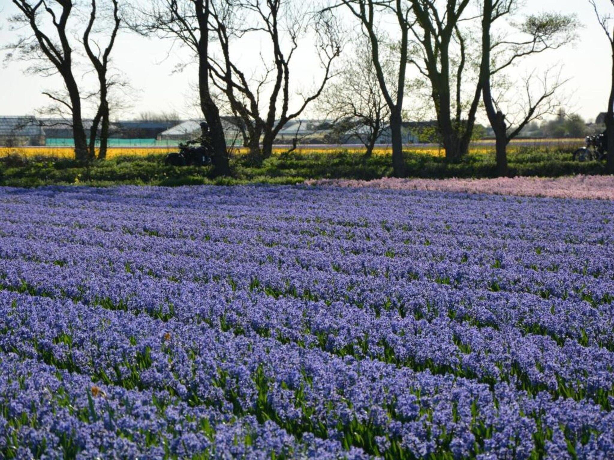 Como in Noordwijkerhout - Foto 38 van 40