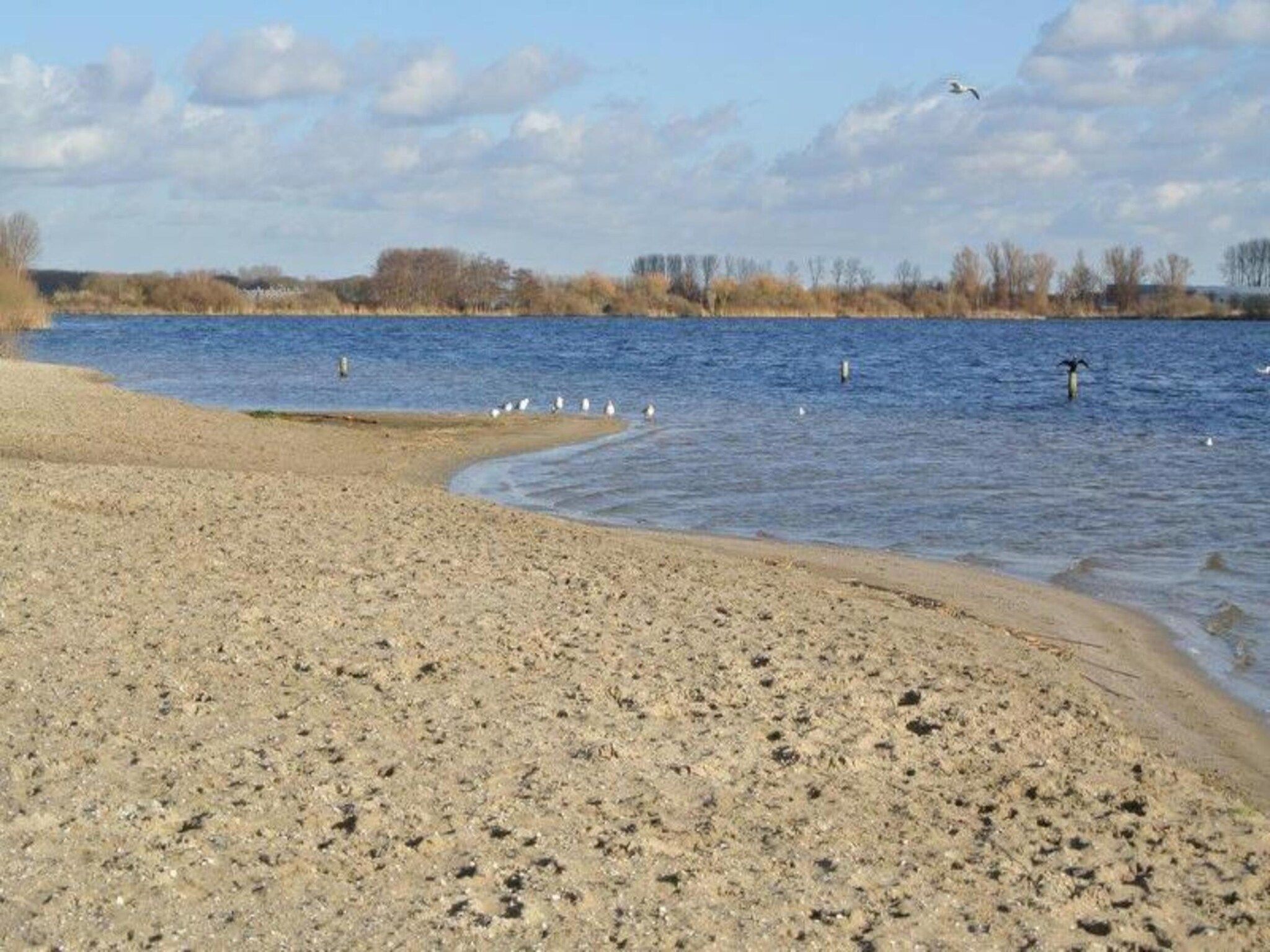 Como in Noordwijkerhout - Foto 31 van 40