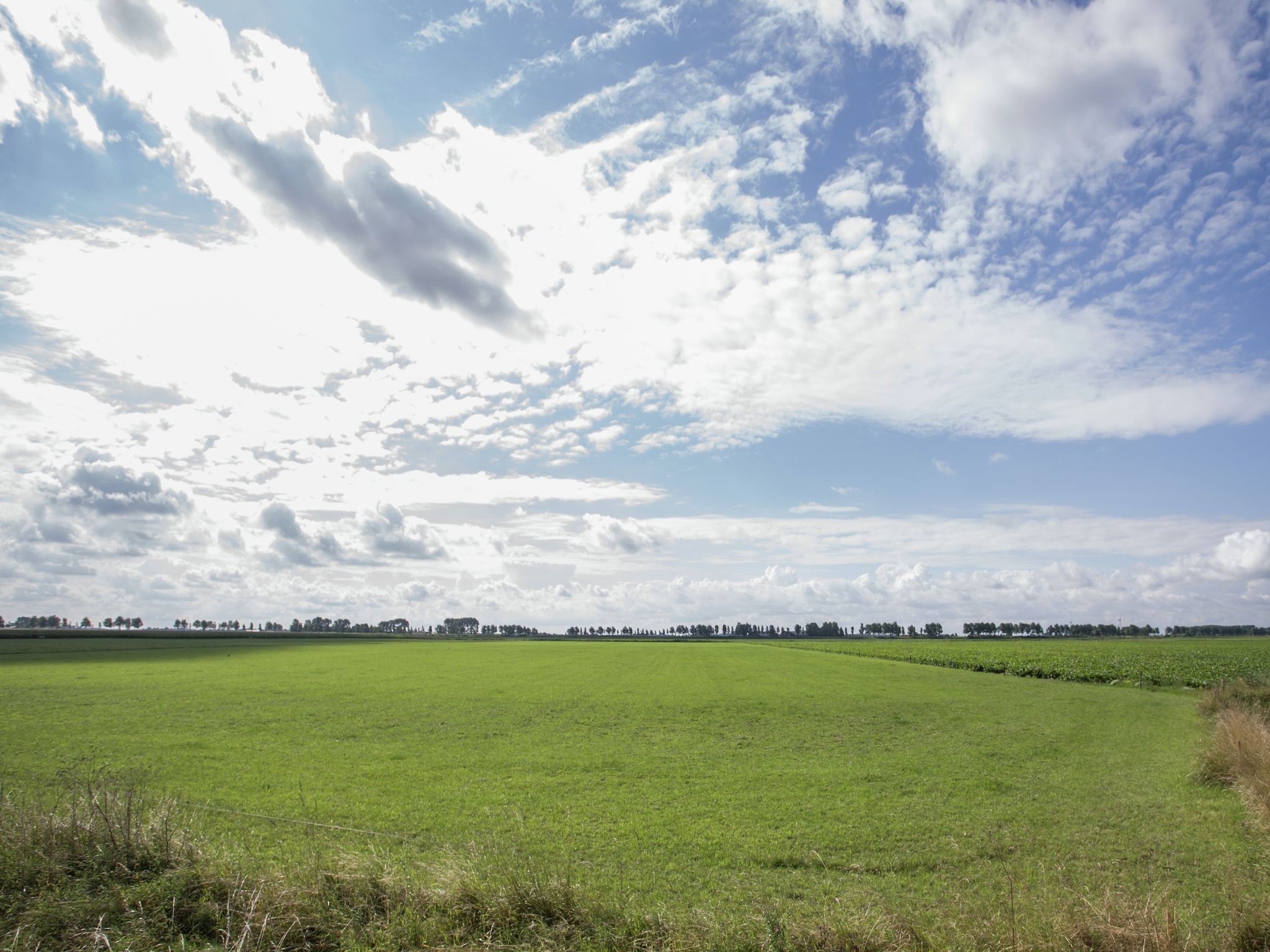 Ritthemse Pracht in Vlissingen-Ritthem - Foto 32 van 34