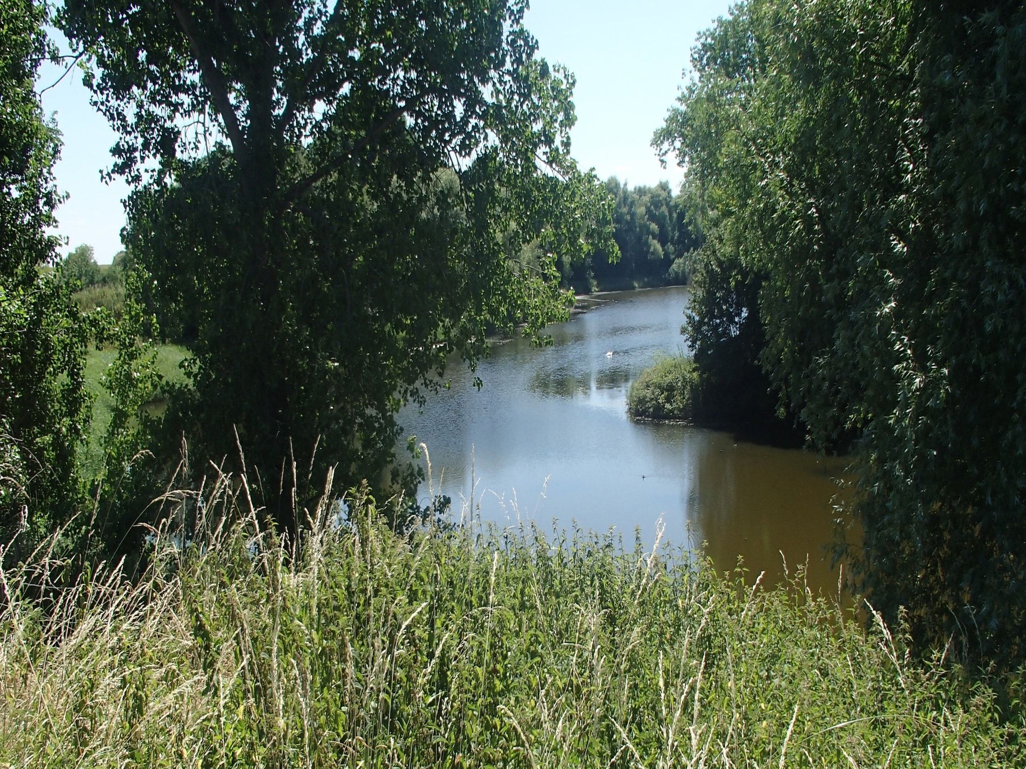 De omgeving van Ritthemse Pracht in Vlissingen-Ritthem