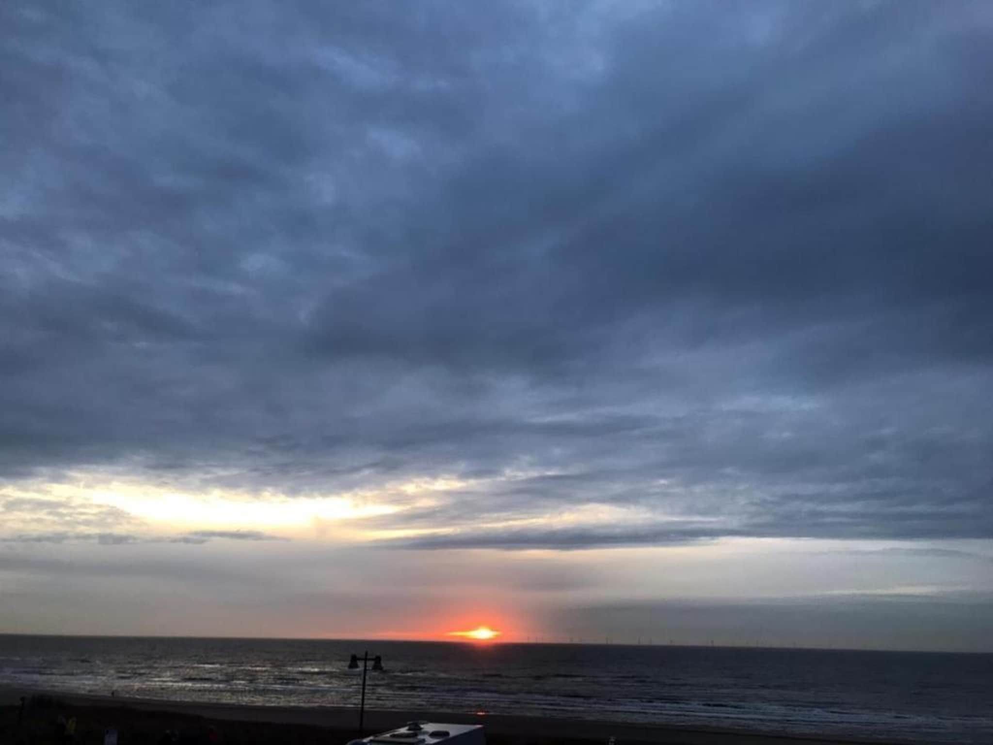 Helmgras II in Egmond aan zee - Foto 25 van 40