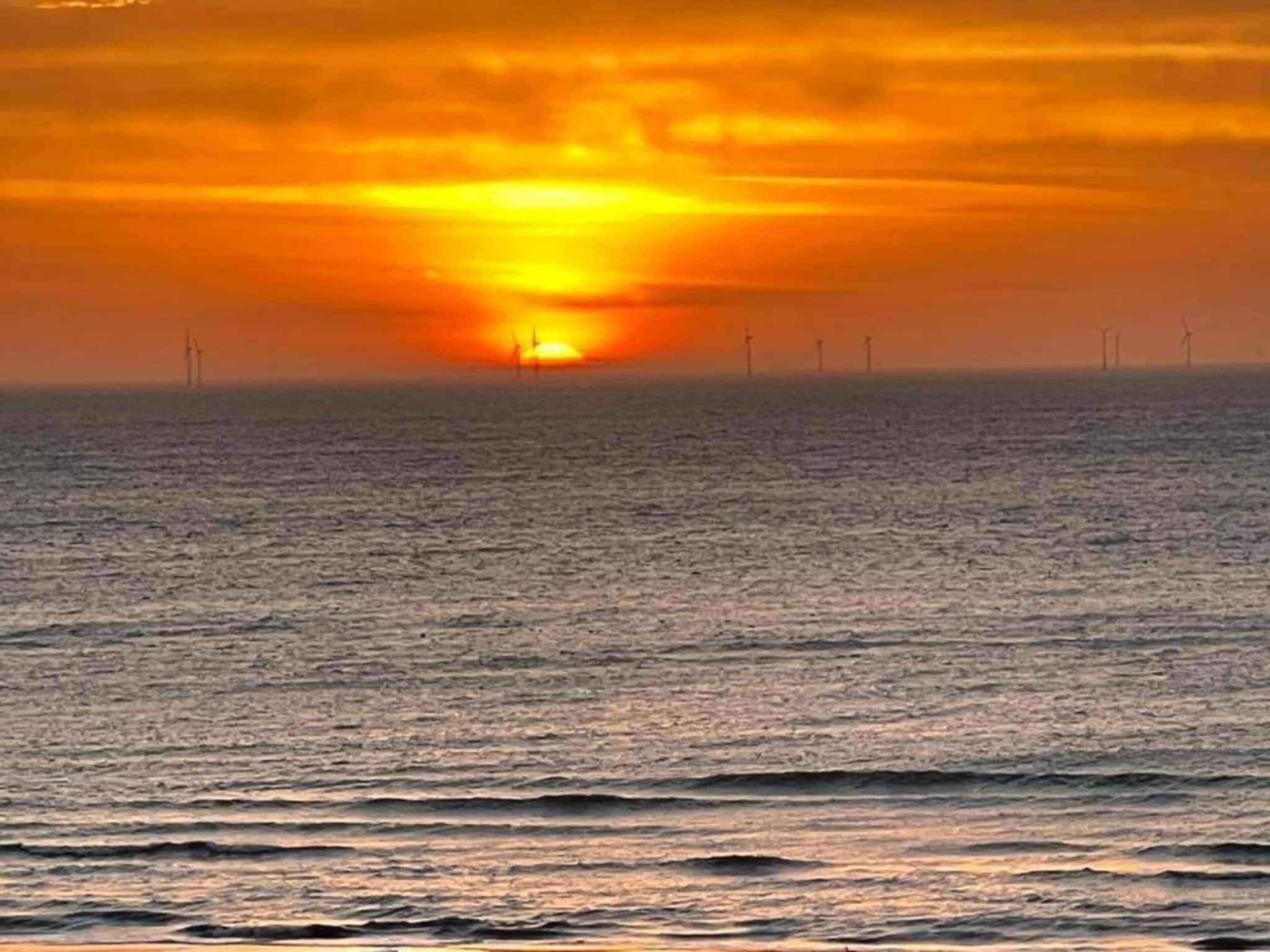 Helmgras II in Egmond aan zee - Foto 18 van 40