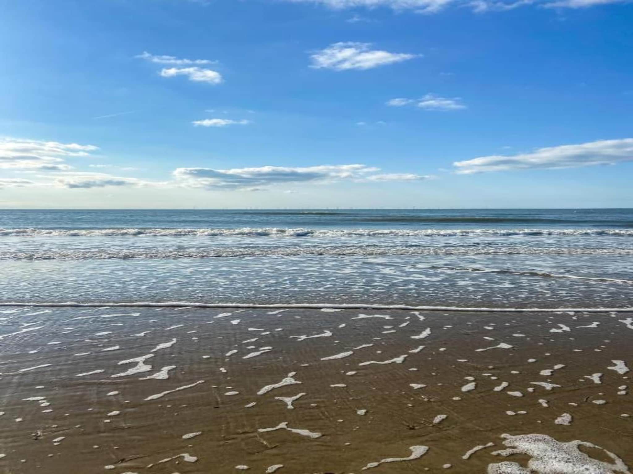 Helmgras II in Egmond aan zee - Foto 17 van 40