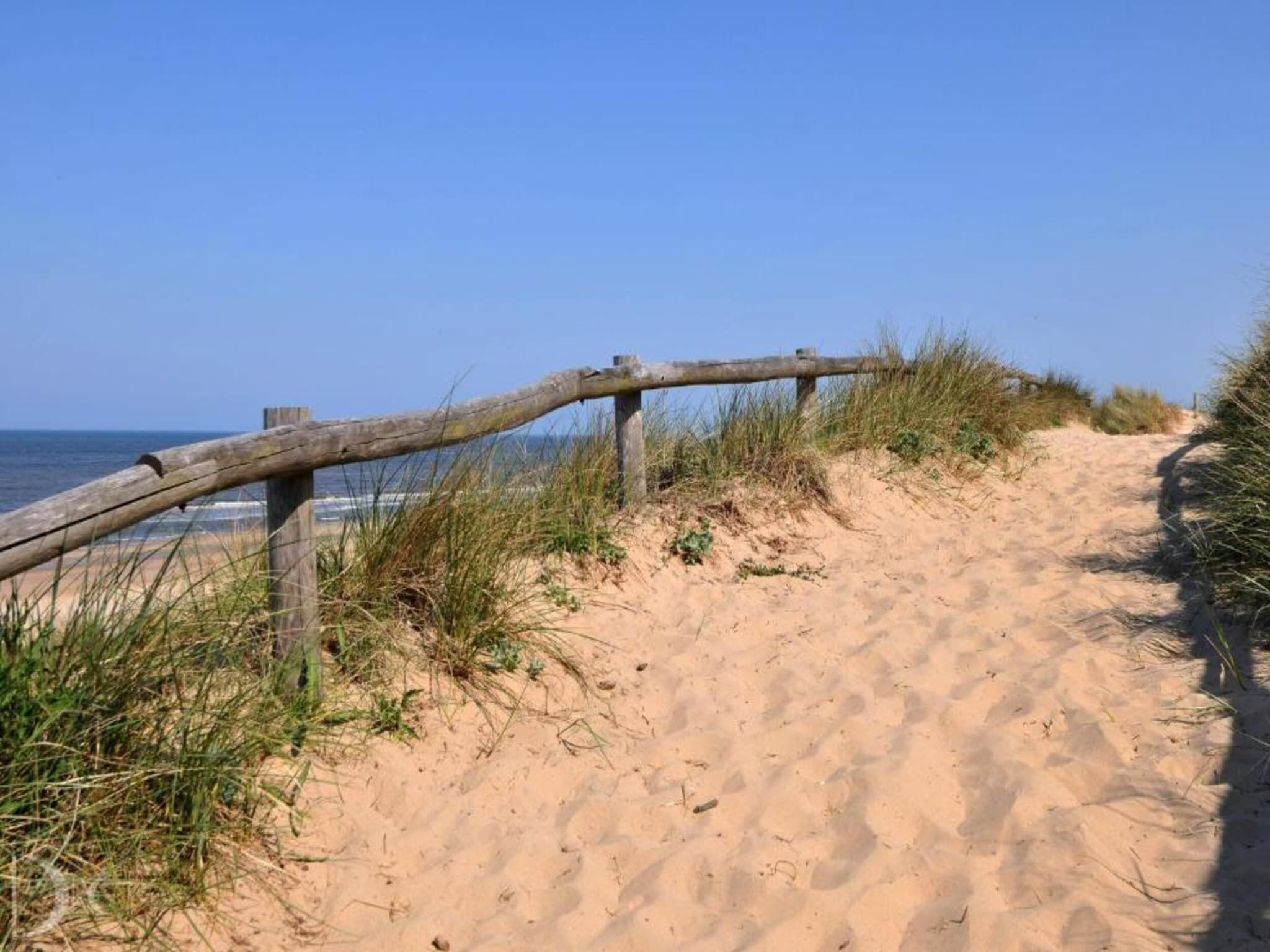 Helmgras II in Egmond aan zee - Foto 27 van 40