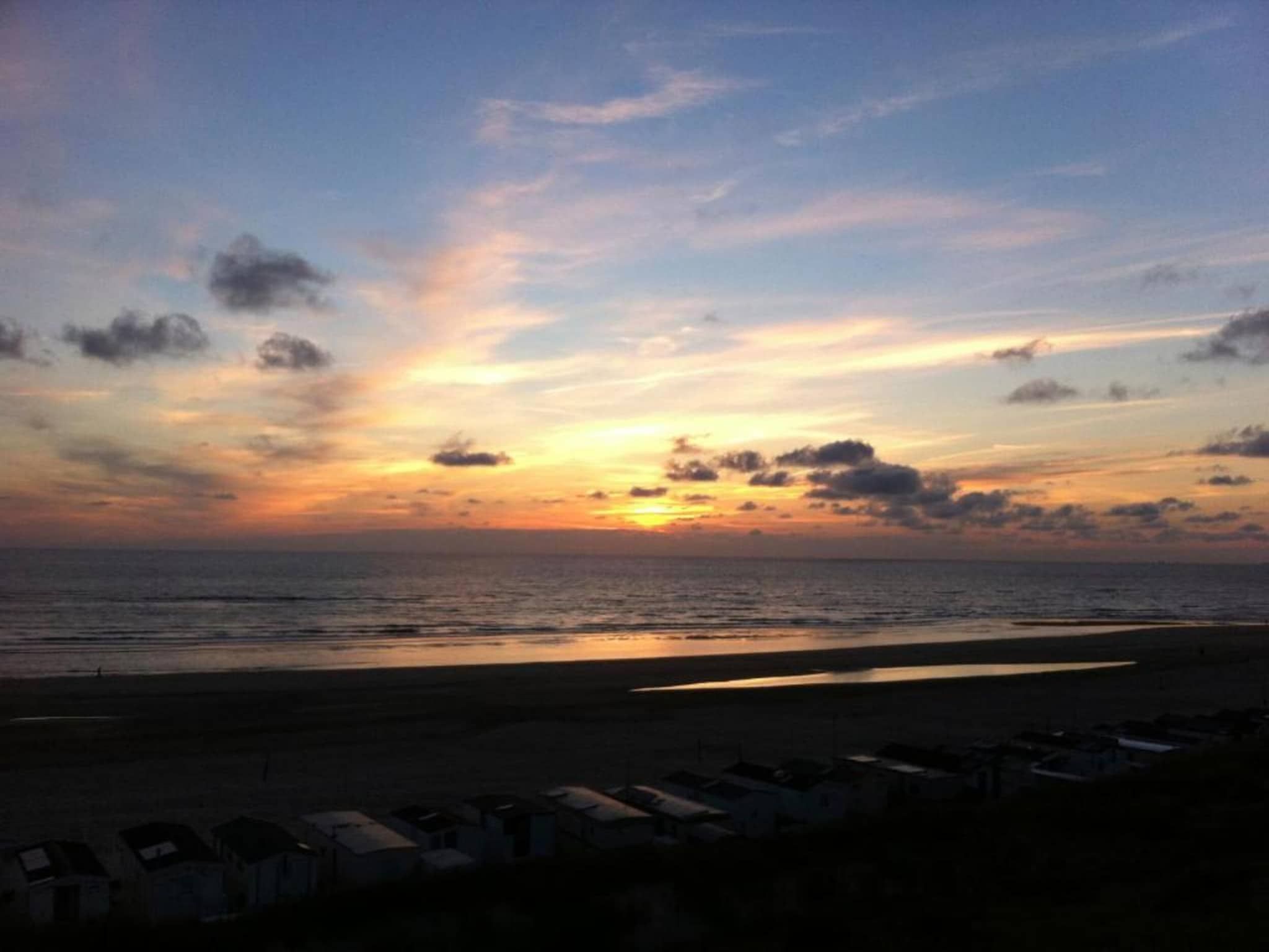 Helmgras II in Egmond aan zee - Foto 20 van 40