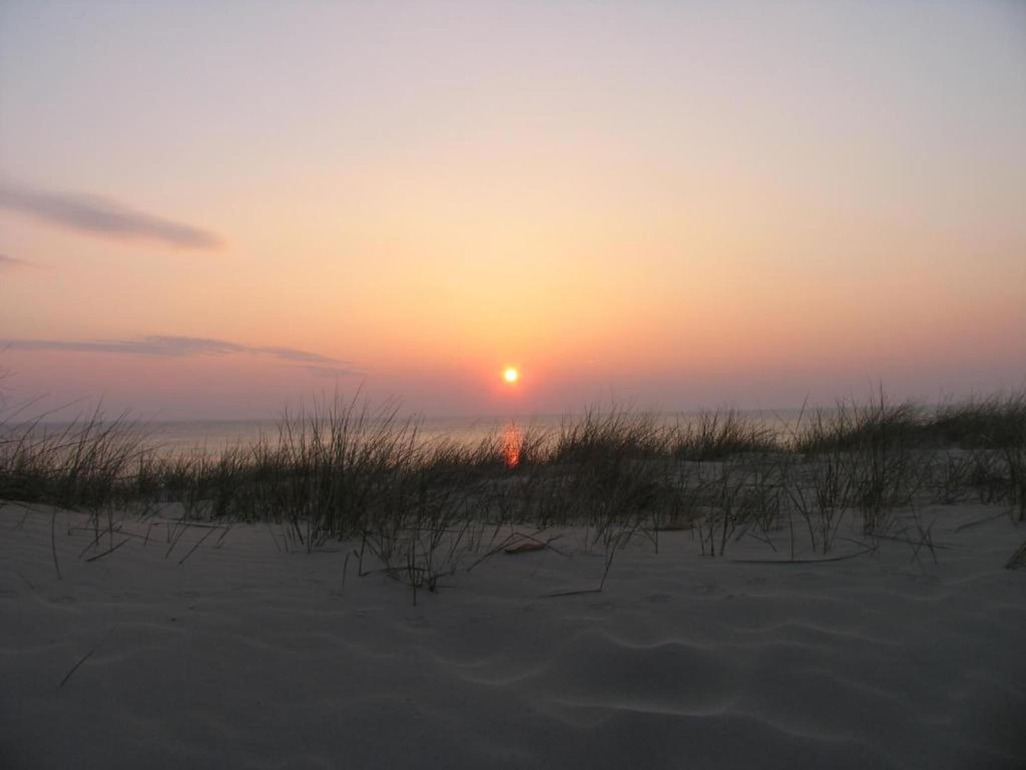 Helmgras II in Egmond aan zee - Foto 31 van 40