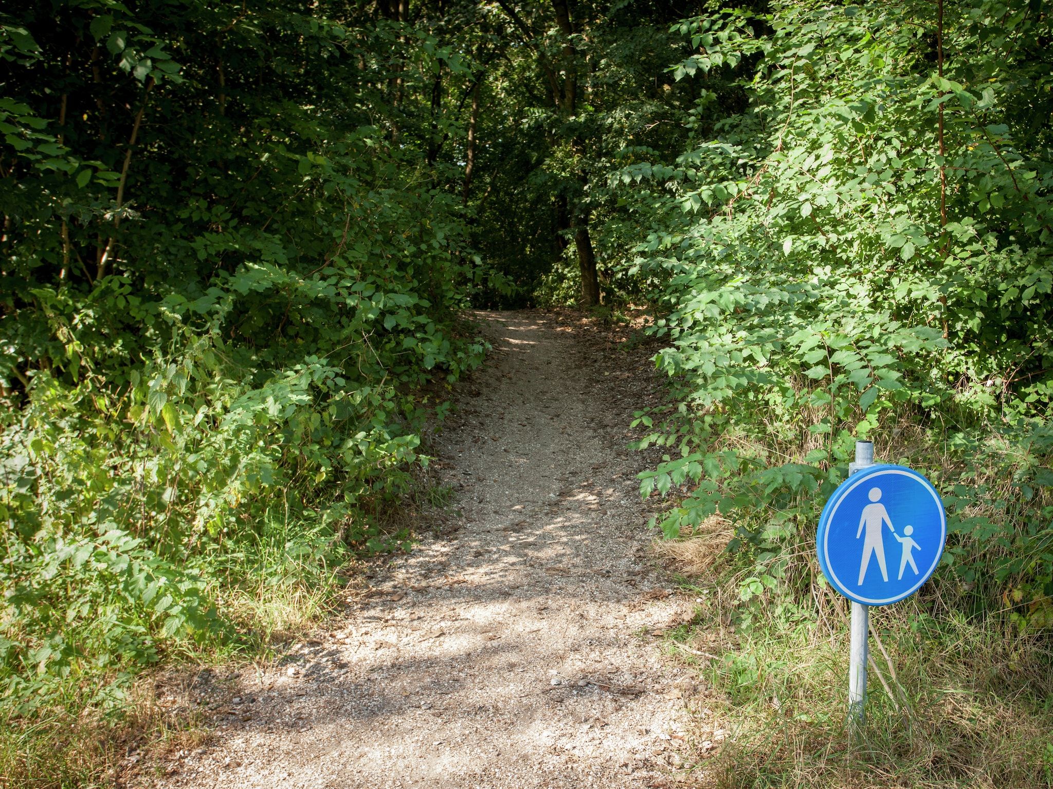 Het uitzicht vanaf Cosa Nora in Noordwijkerhout