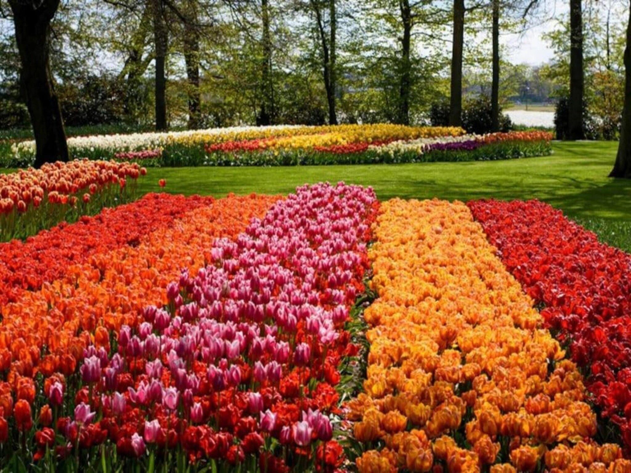 De omgeving van Cosa Nora in Noordwijkerhout