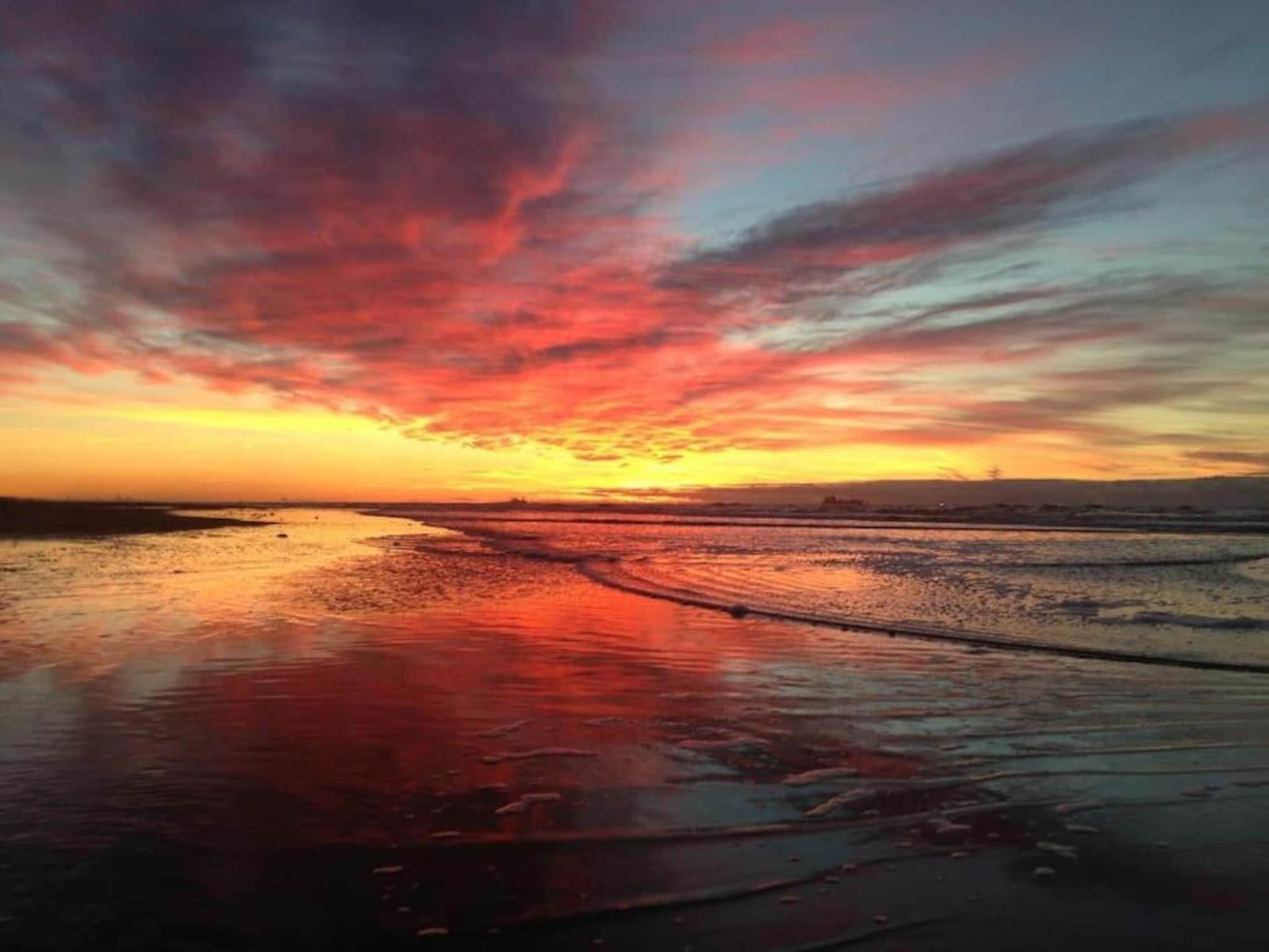 De omgeving van Cosa Nora in Noordwijkerhout