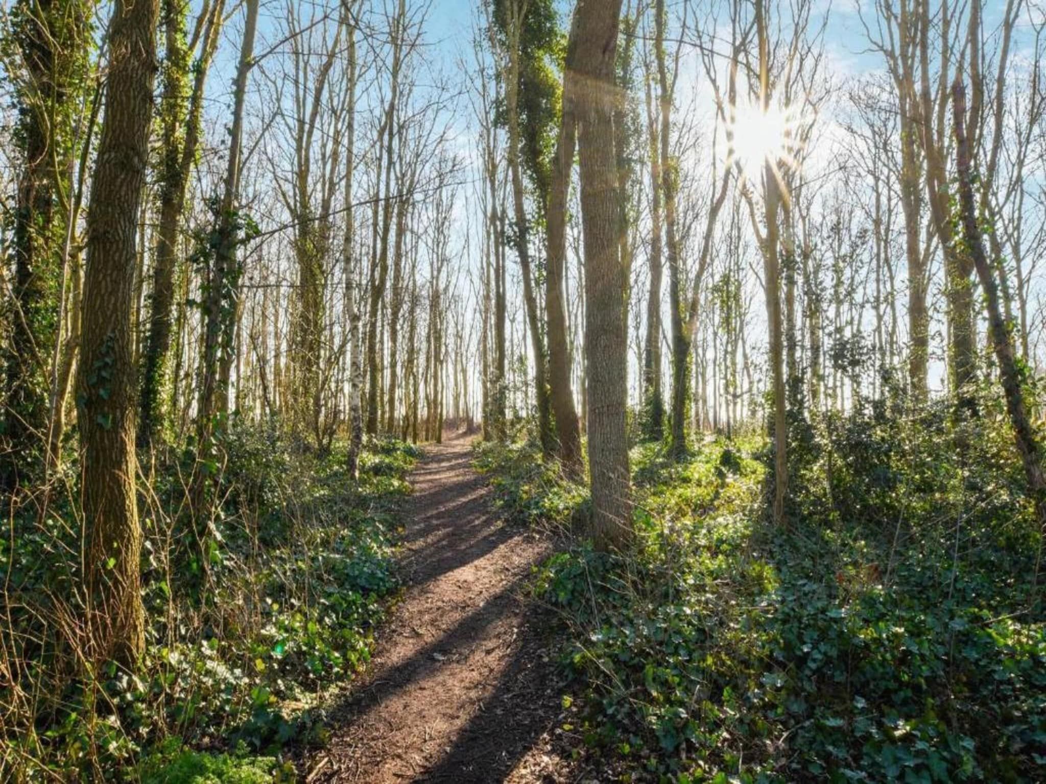 De omgeving van Cosa Nora in Noordwijkerhout