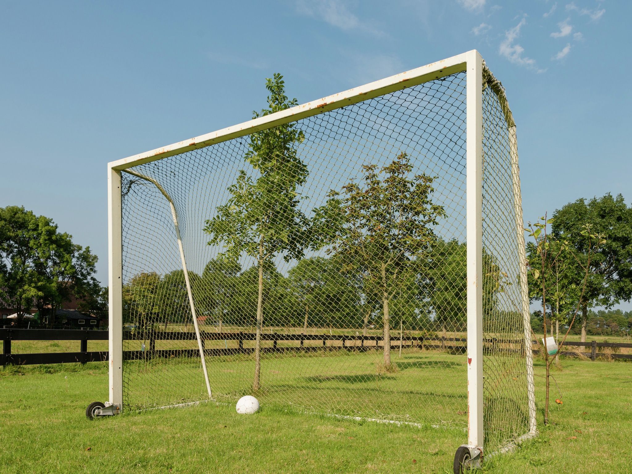 De tuin van De Grutto in Hippolytushoef
