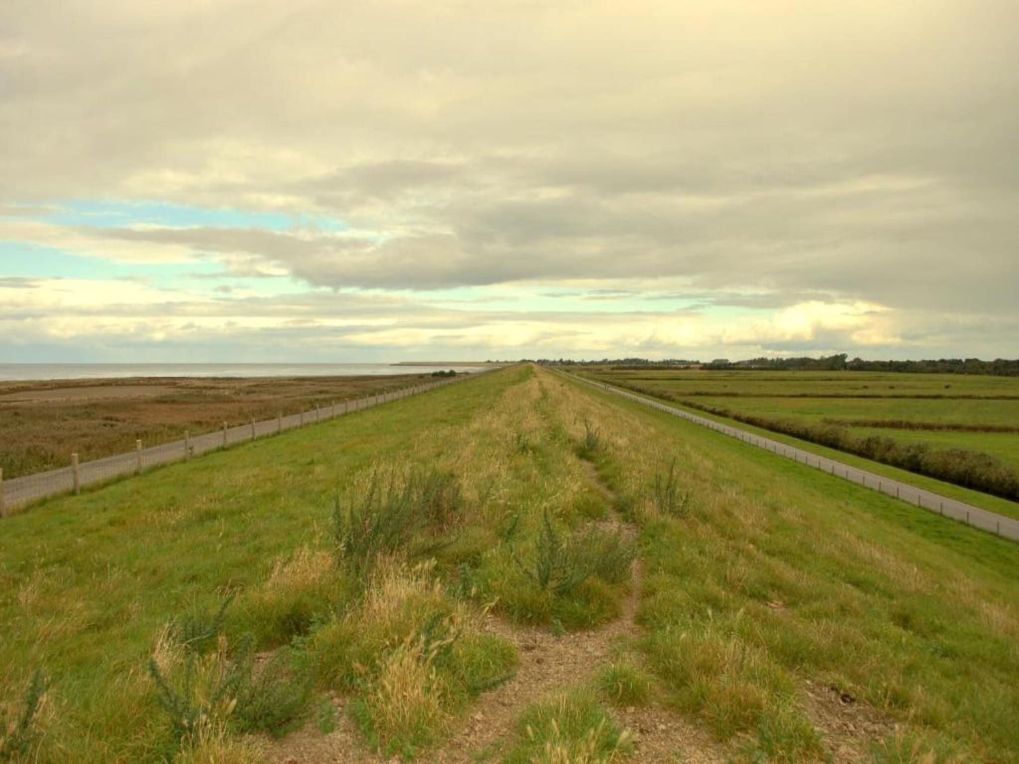 De Grutto in Hippolytushoef - Foto 36 van 40