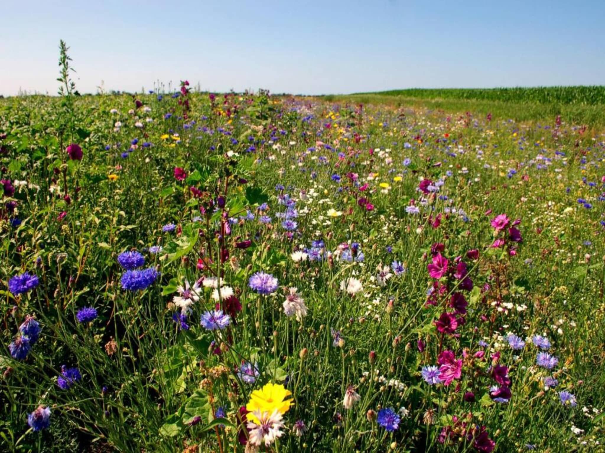 De Grutto in Hippolytushoef - Foto 37 van 40