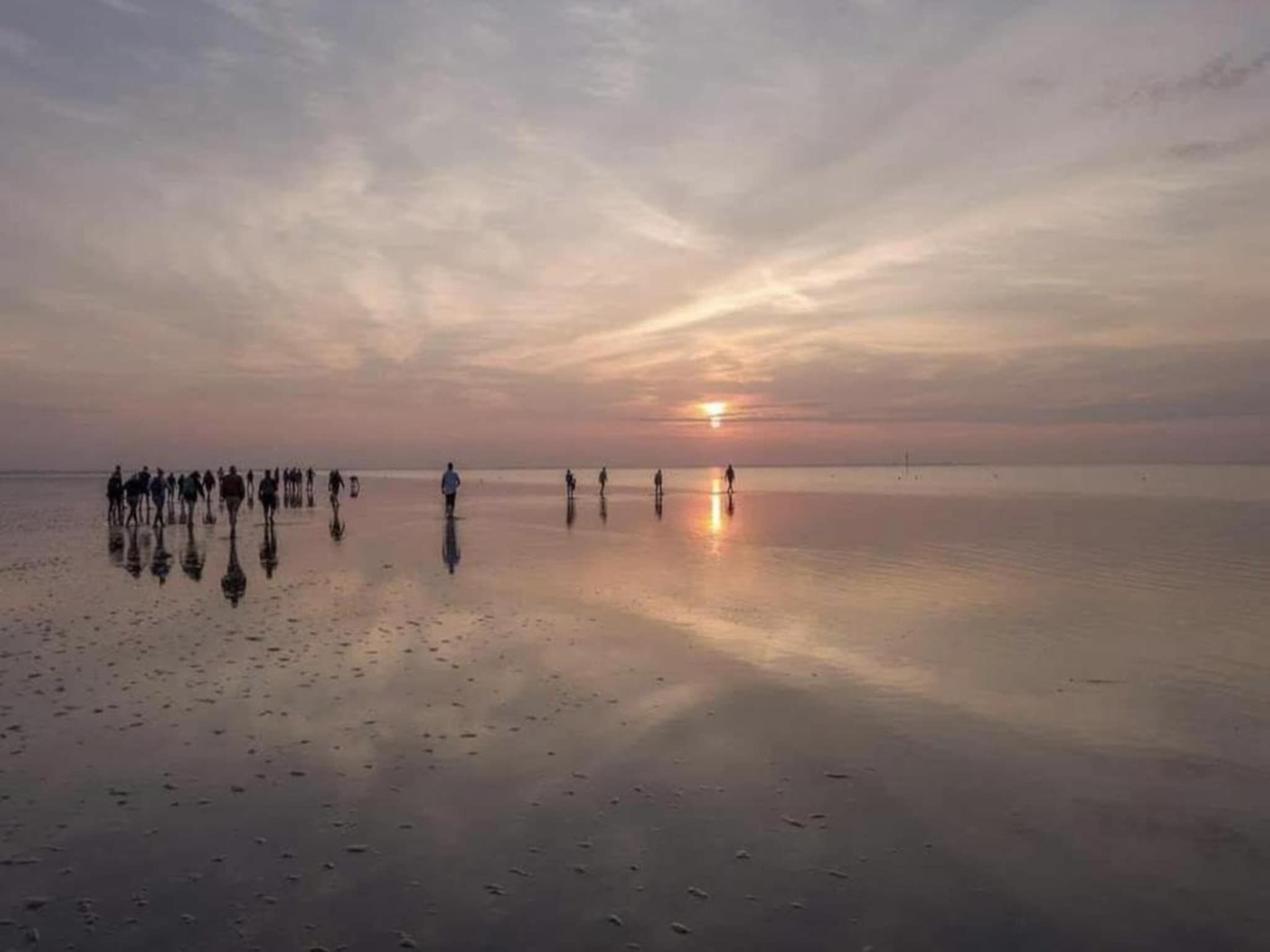 De Grutto in Hippolytushoef - Foto 38 van 40