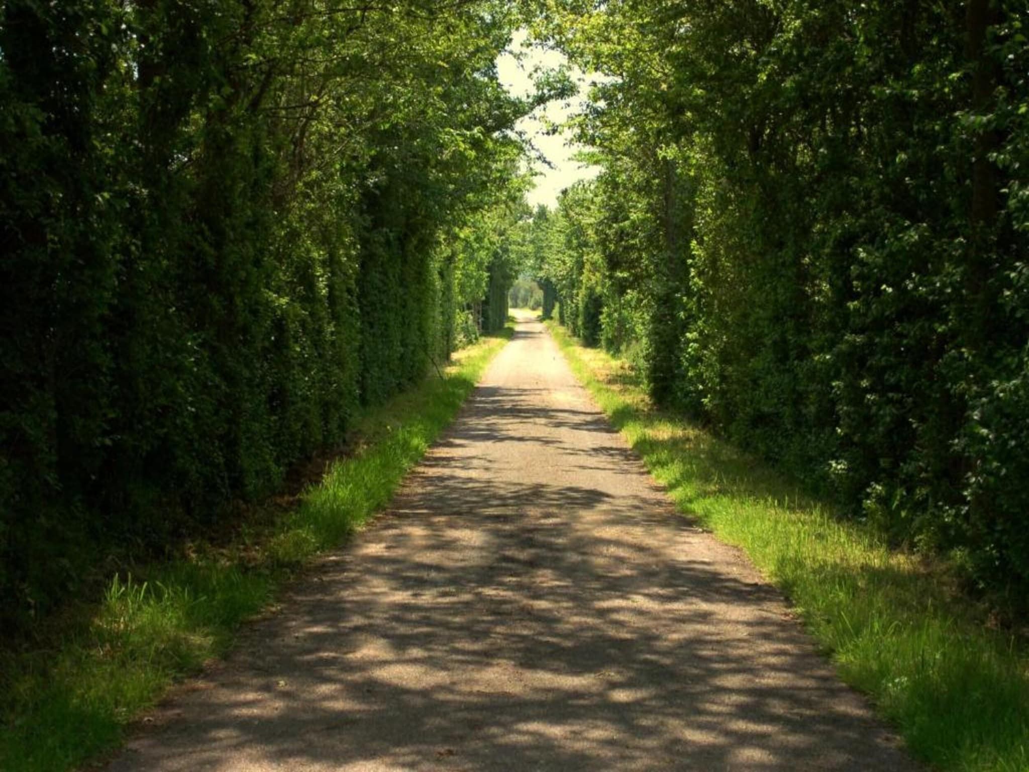 De Grutto in Hippolytushoef - Foto 31 van 40