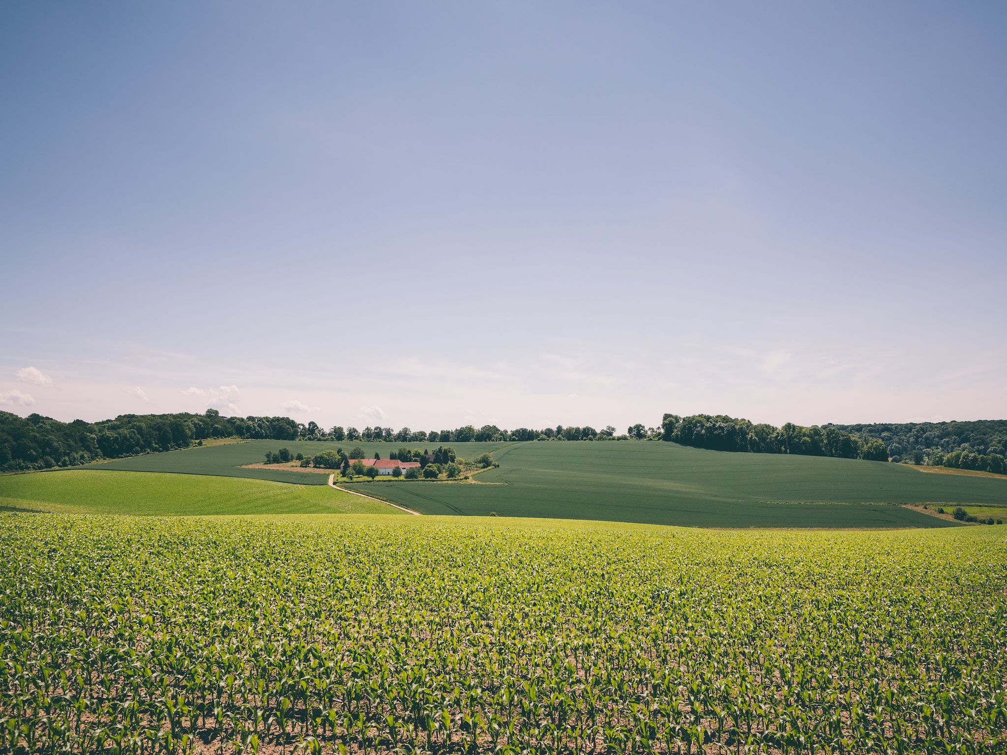 Bungalowpark Schin op Geul 3 in Walem - Foto 17 van 21