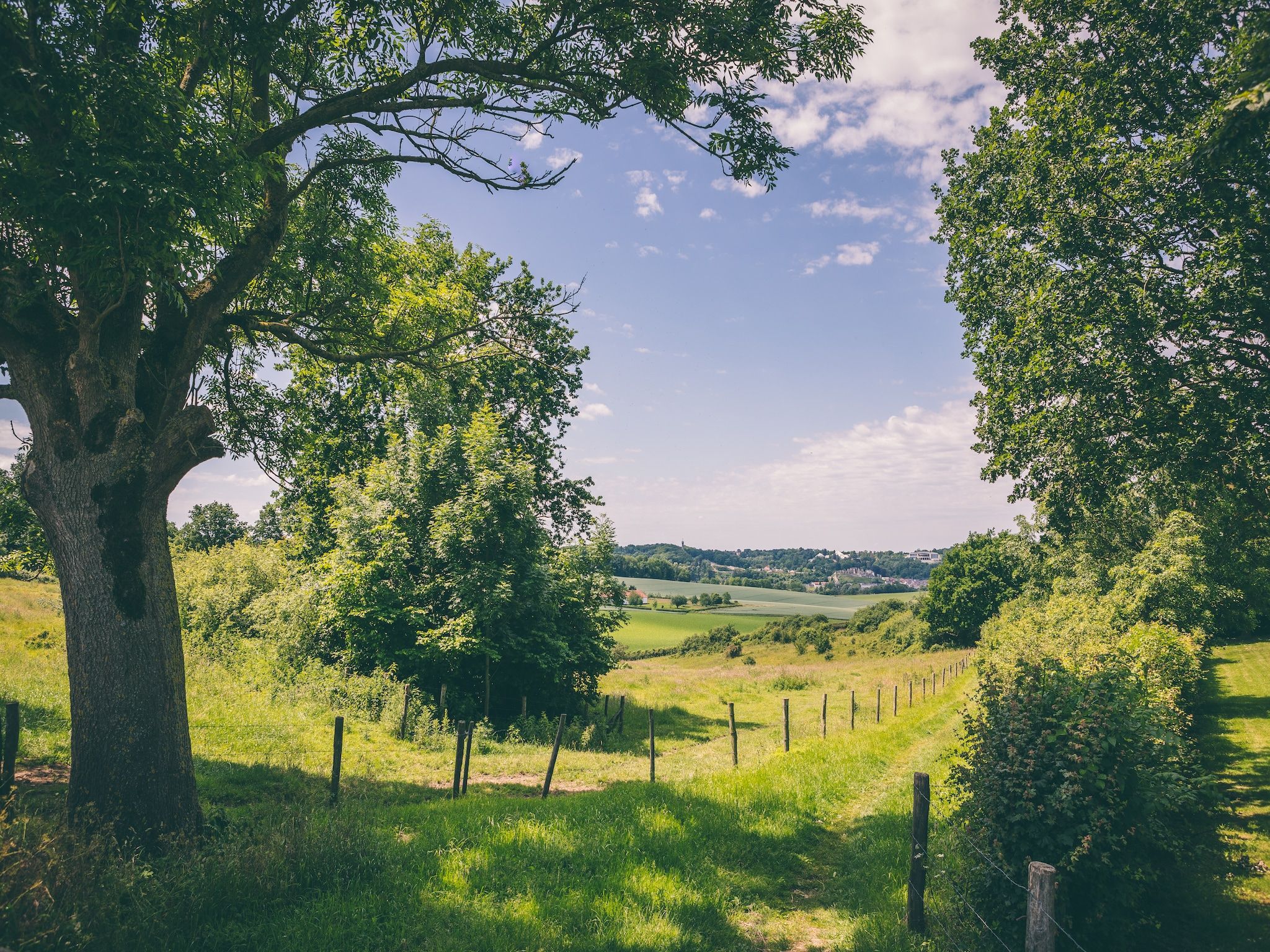 De omgeving van Bungalowpark Schin op Geul 3 in Walem