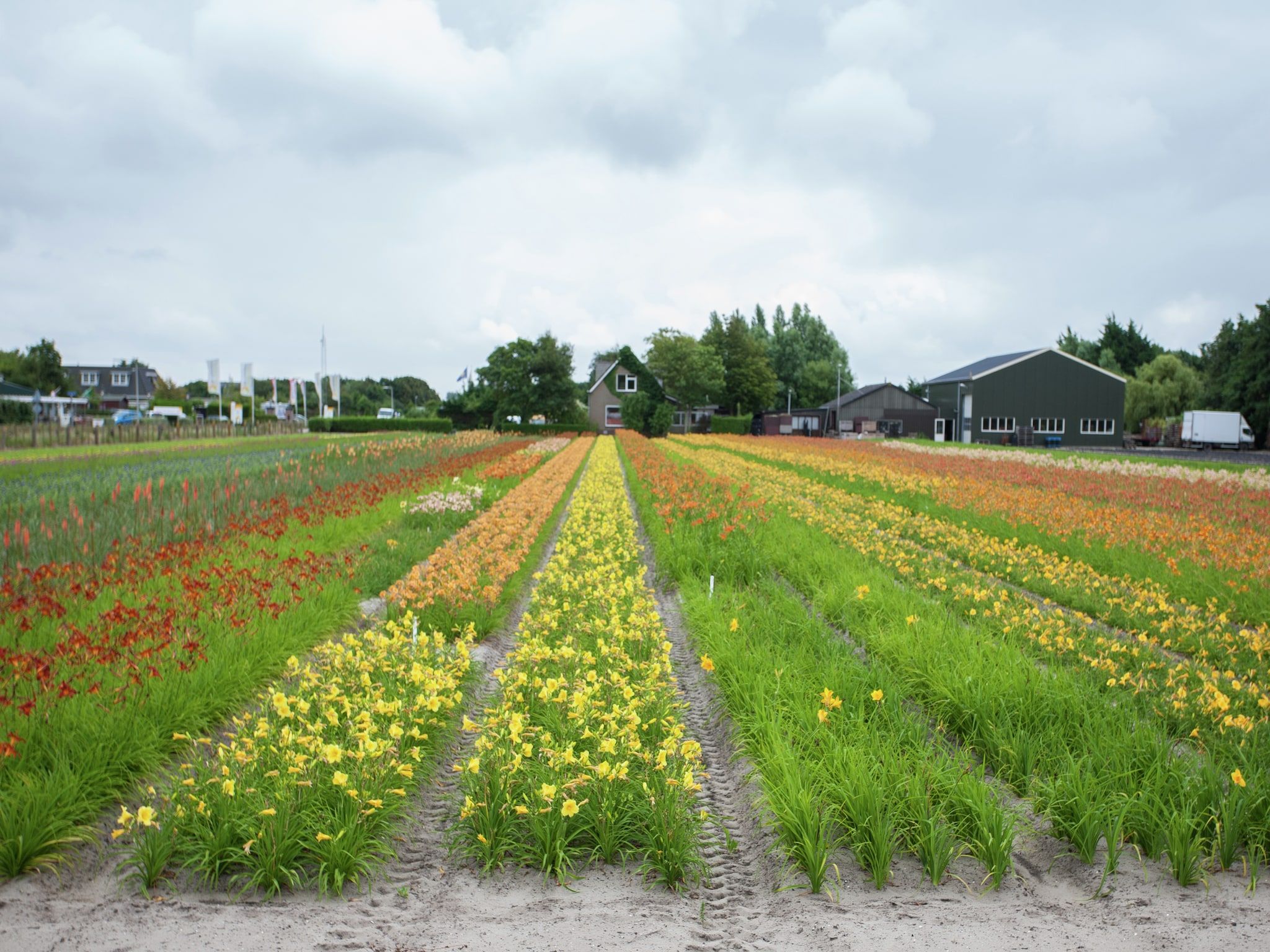 Zeearend Boulevard in Noordwijk aan Zee - Foto 25 van 40