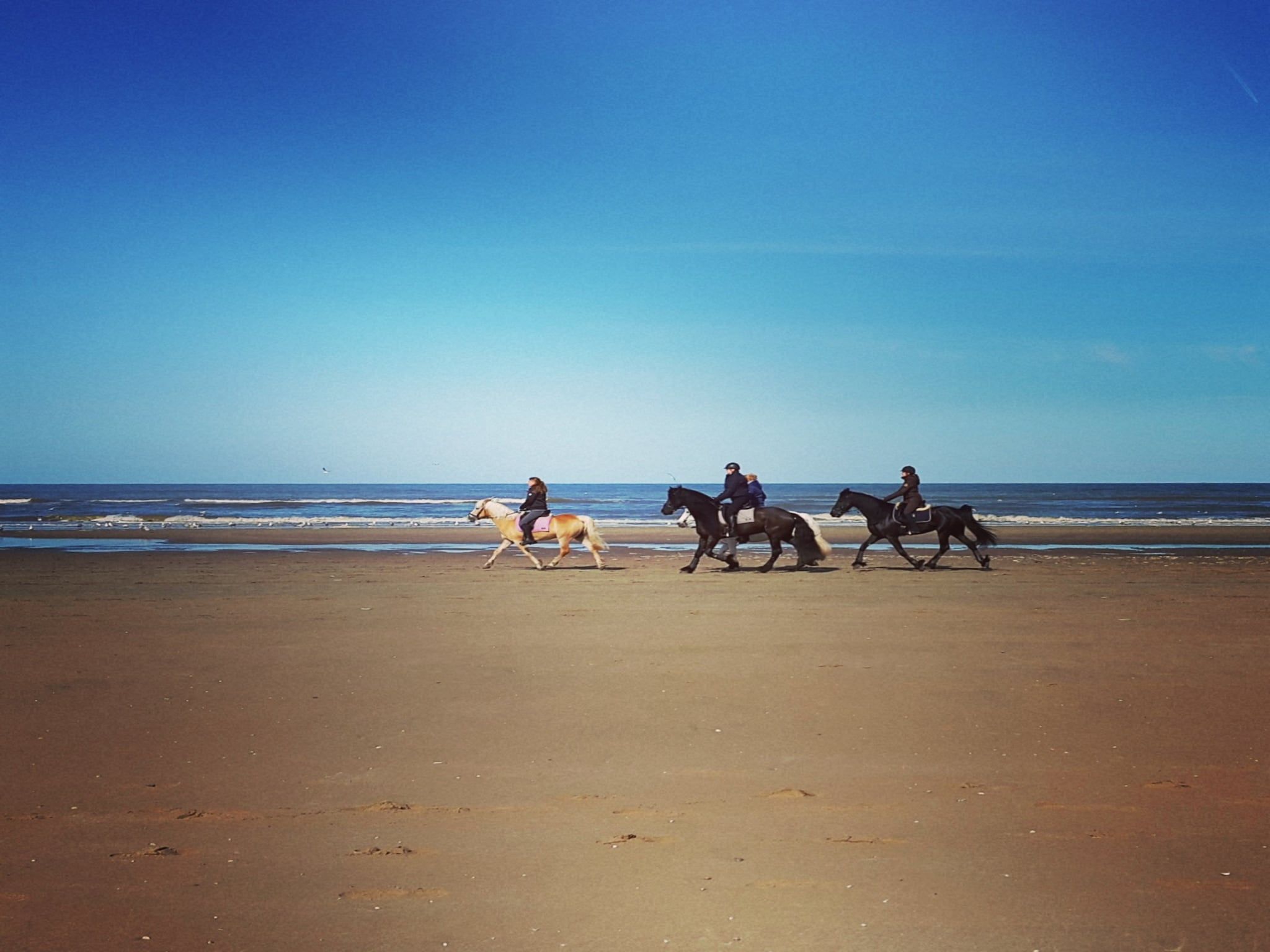 Zeearend Boulevard in Noordwijk aan Zee - Foto 24 van 40