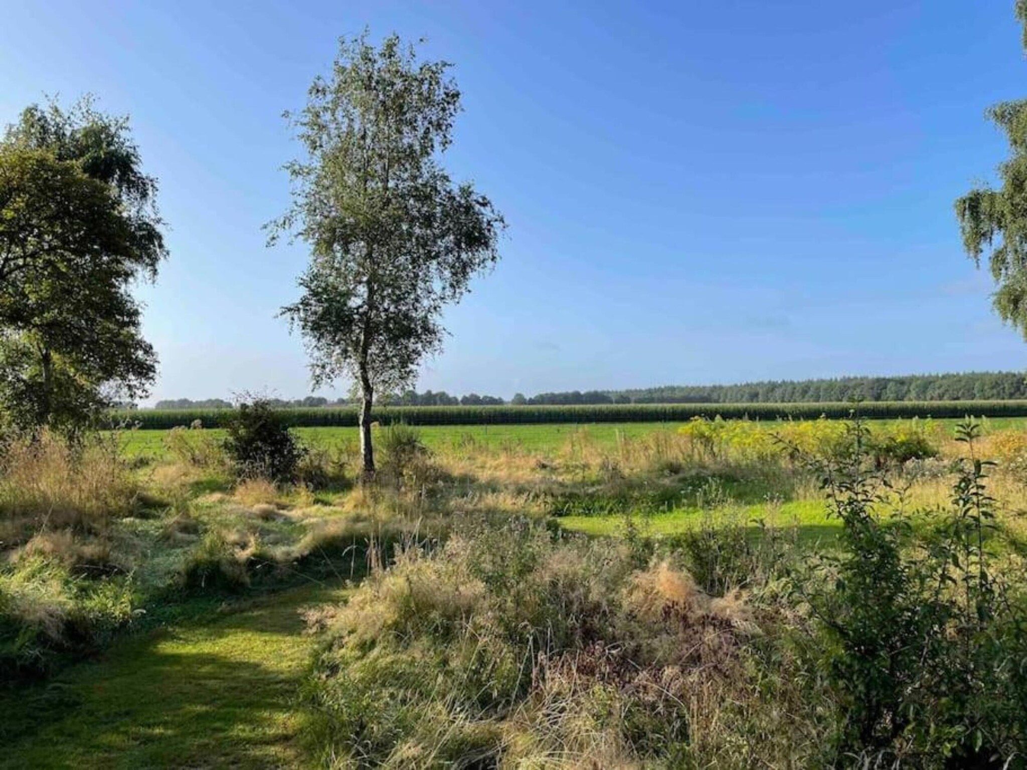 Bospark Lunsbergen 2 in Borger - Foto 38 van 40