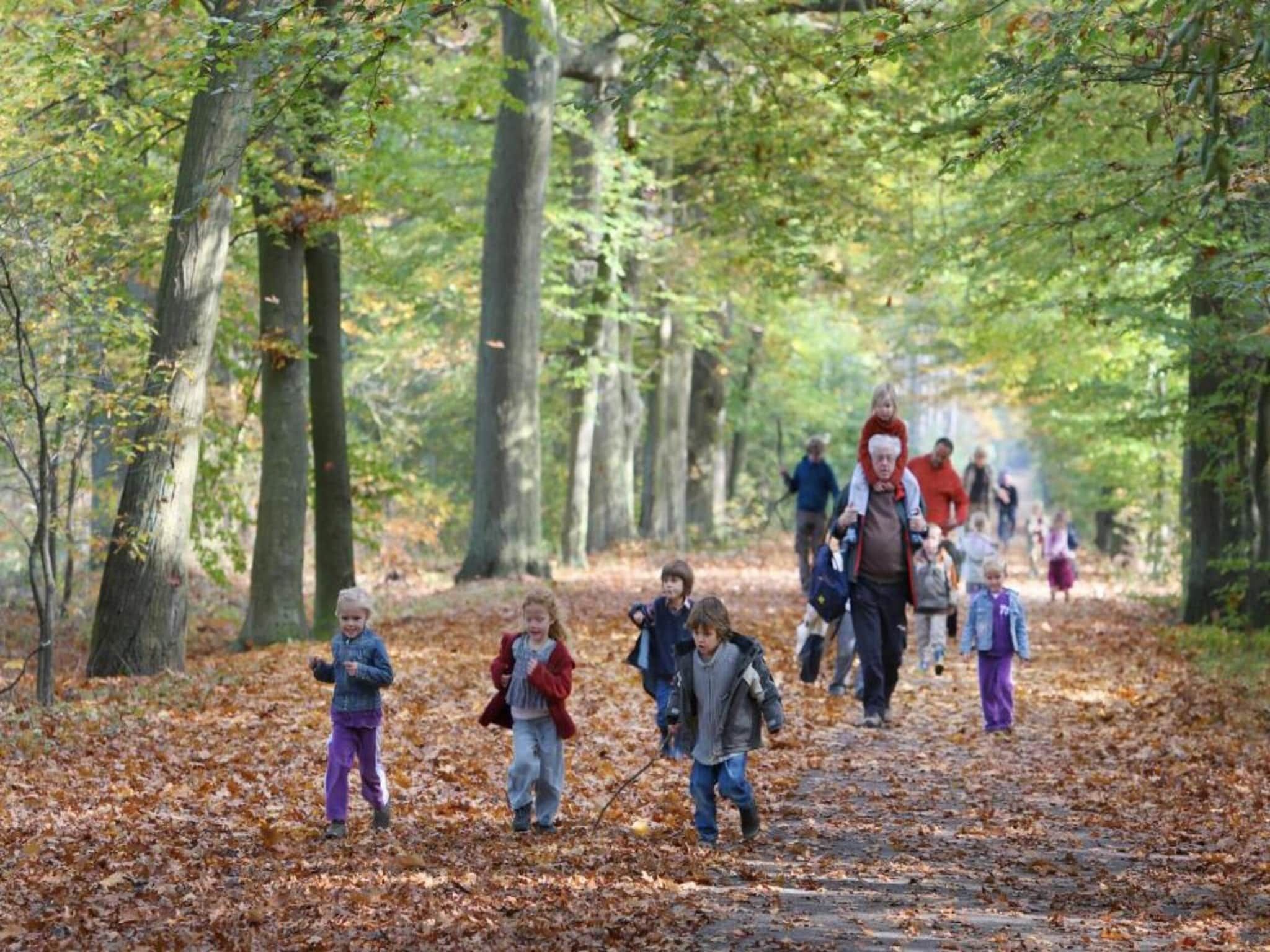 Bospark Lunsbergen 2 in Borger - Foto 10 van 40