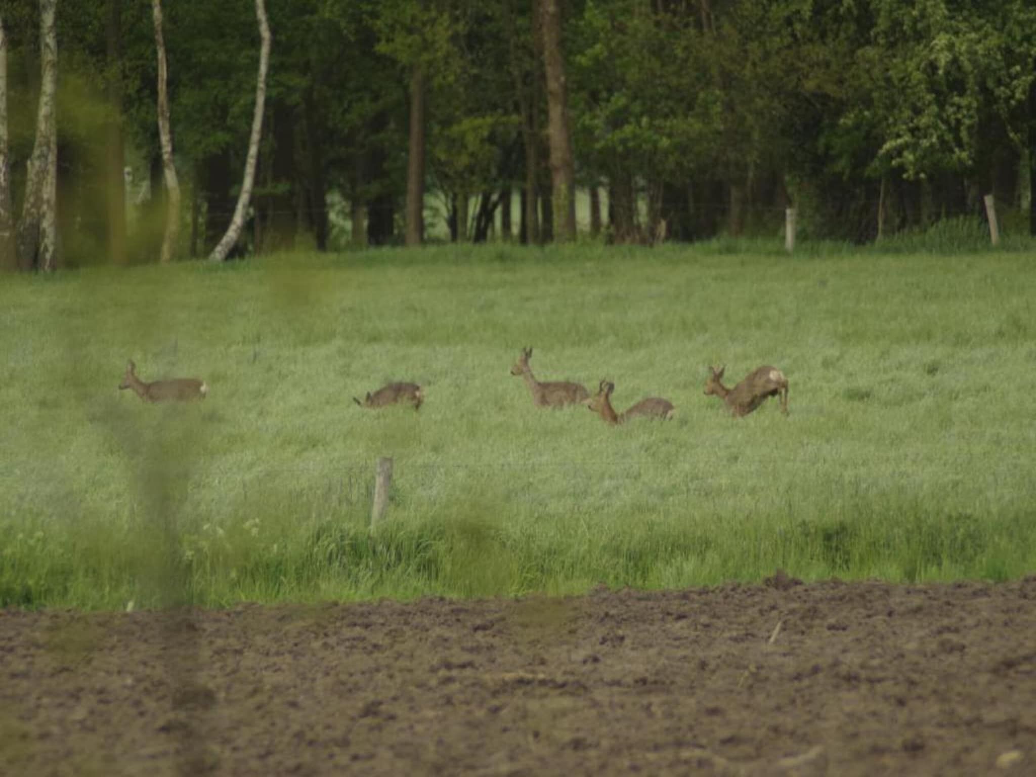 Dekenkist in Geesteren - Foto 25 van 35