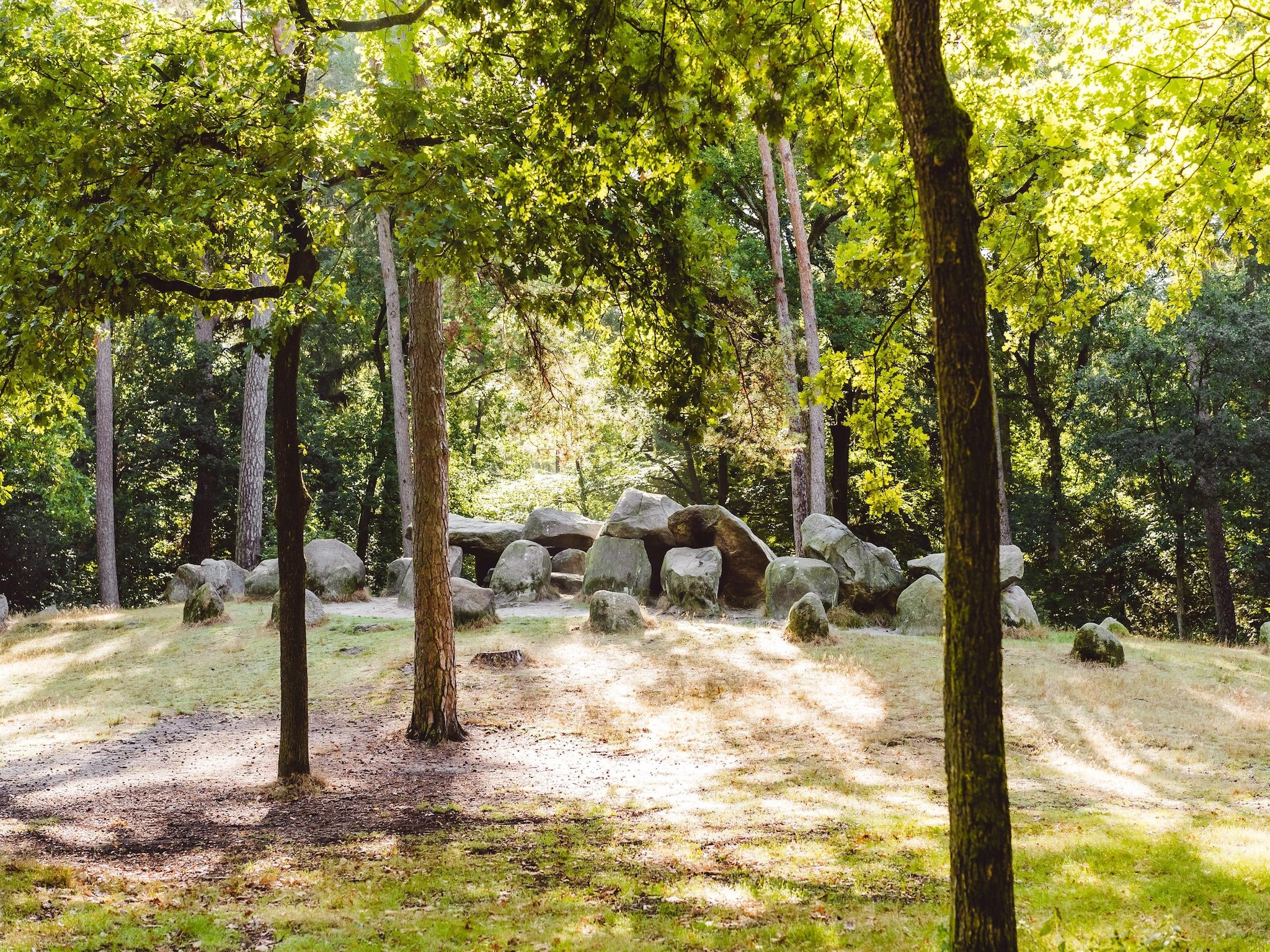 De omgeving van Hunzepark 2 in Gasselternijveen