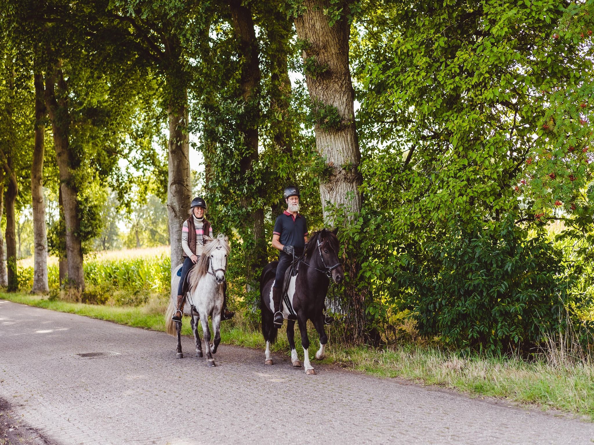 De omgeving van Hunzepark 2 in Gasselternijveen