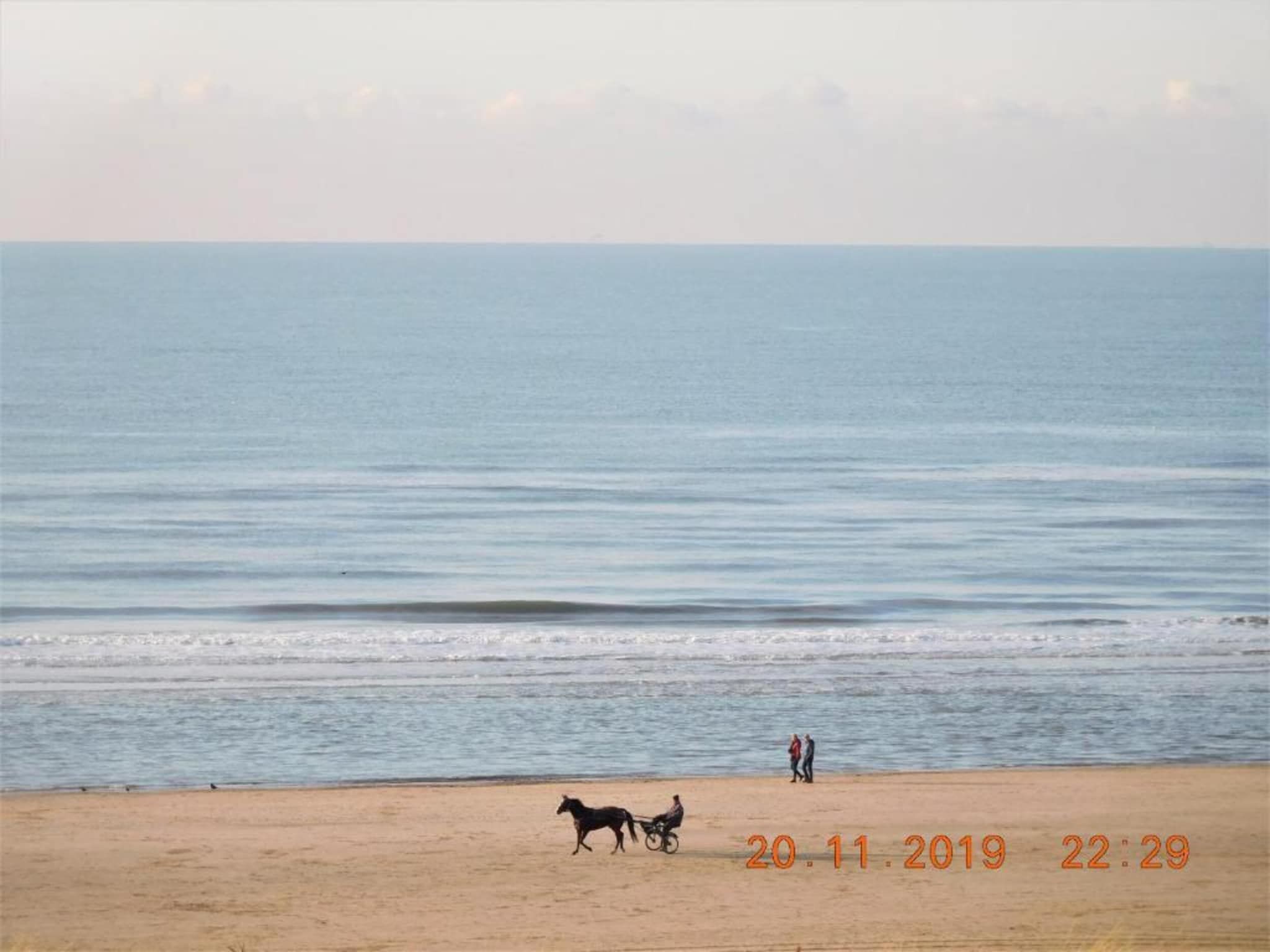 Egmonds Duintje in Egmond aan zee - Foto 25 van 40