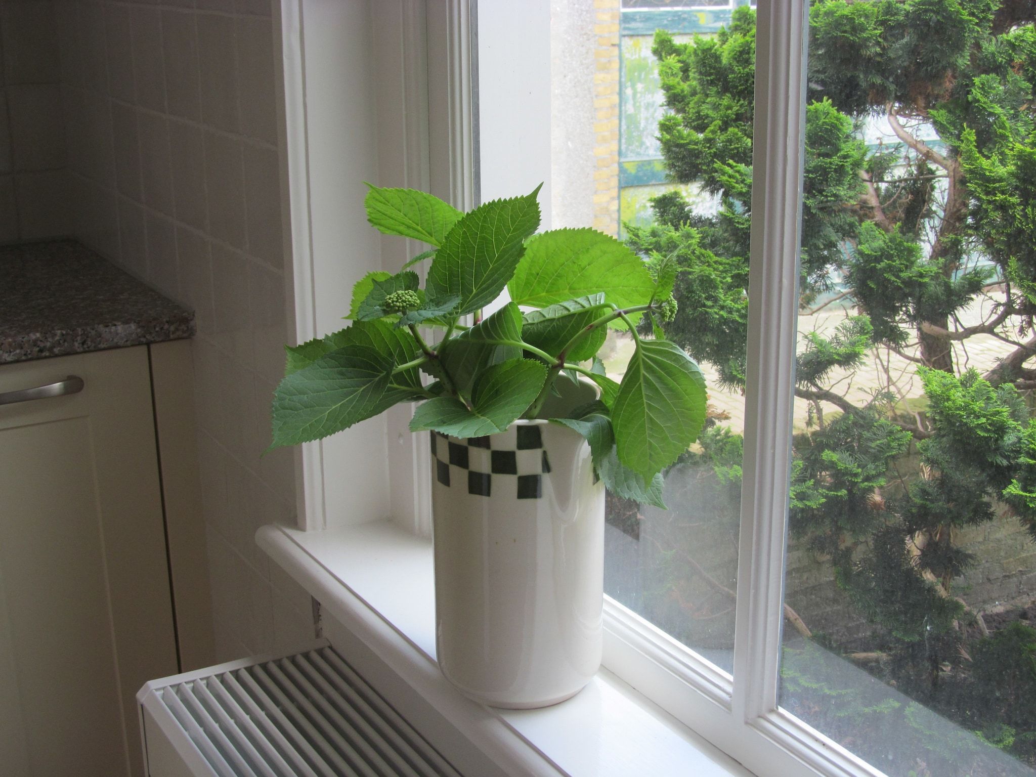 Sfeerbeeld van Klavertje vier in Harlingen