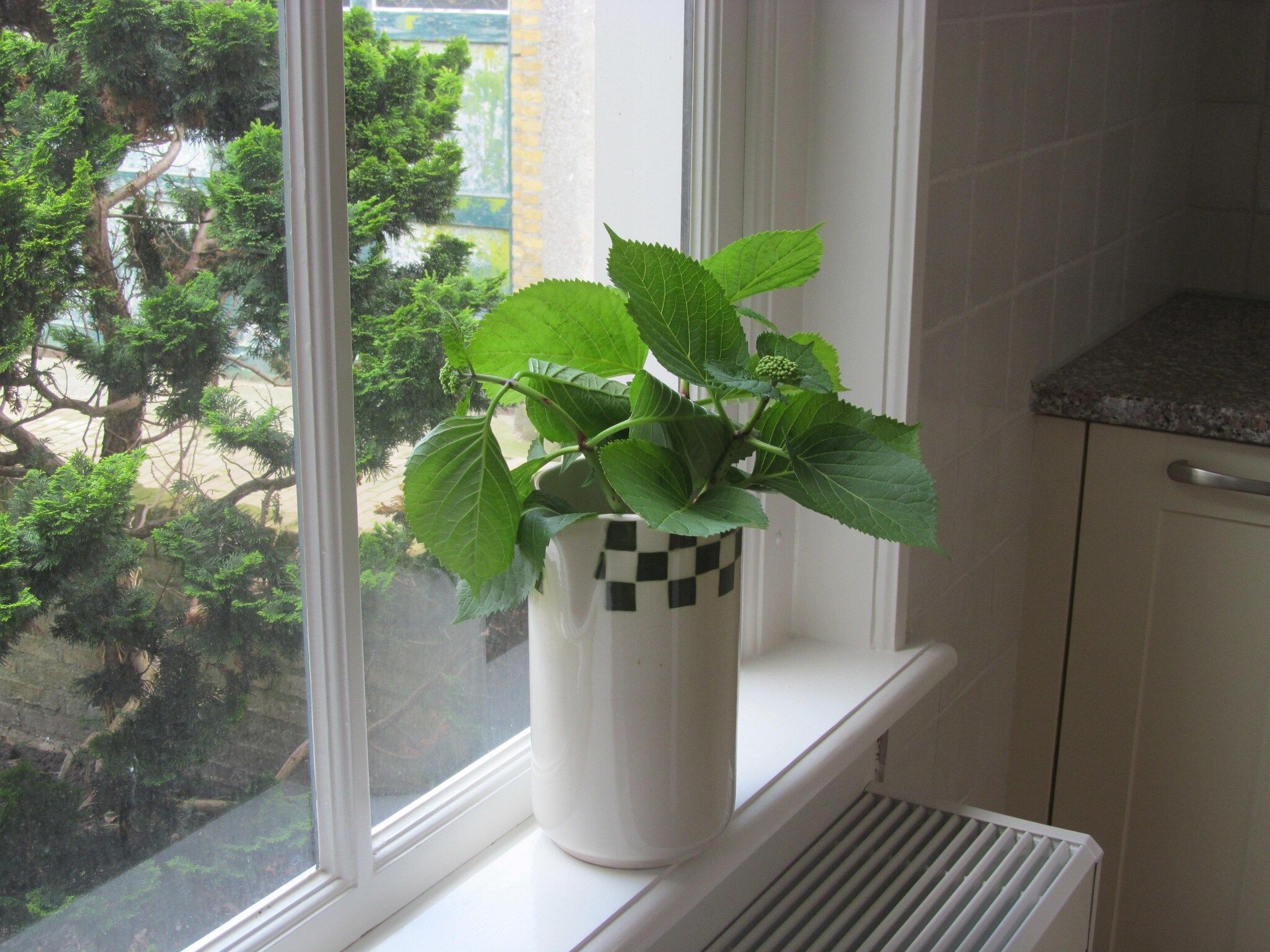 Sfeerbeeld van Klavertje vier in Harlingen