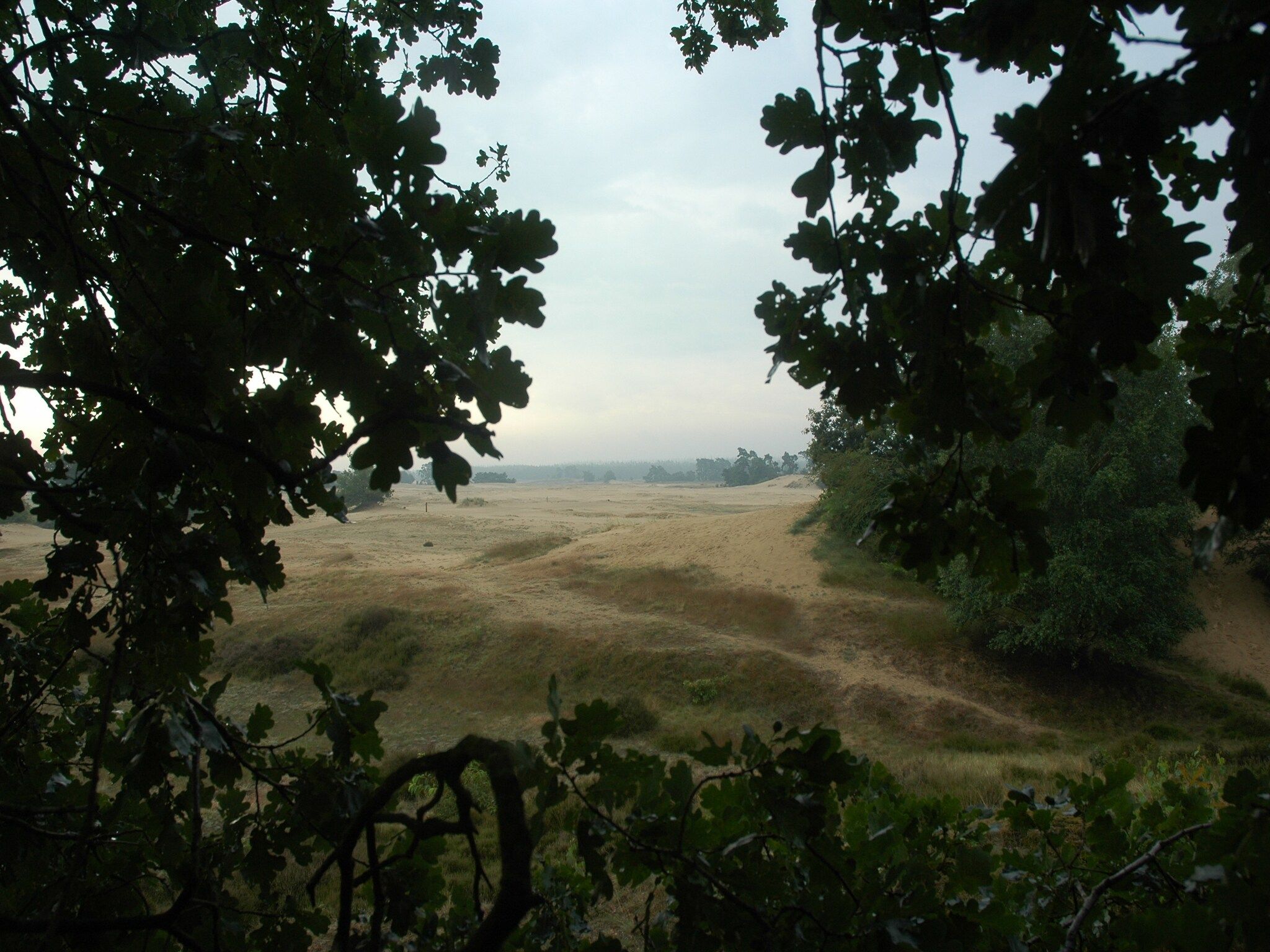 Landgoed De IJsvogel 3 in Voorthuizen - Foto 28 van 40