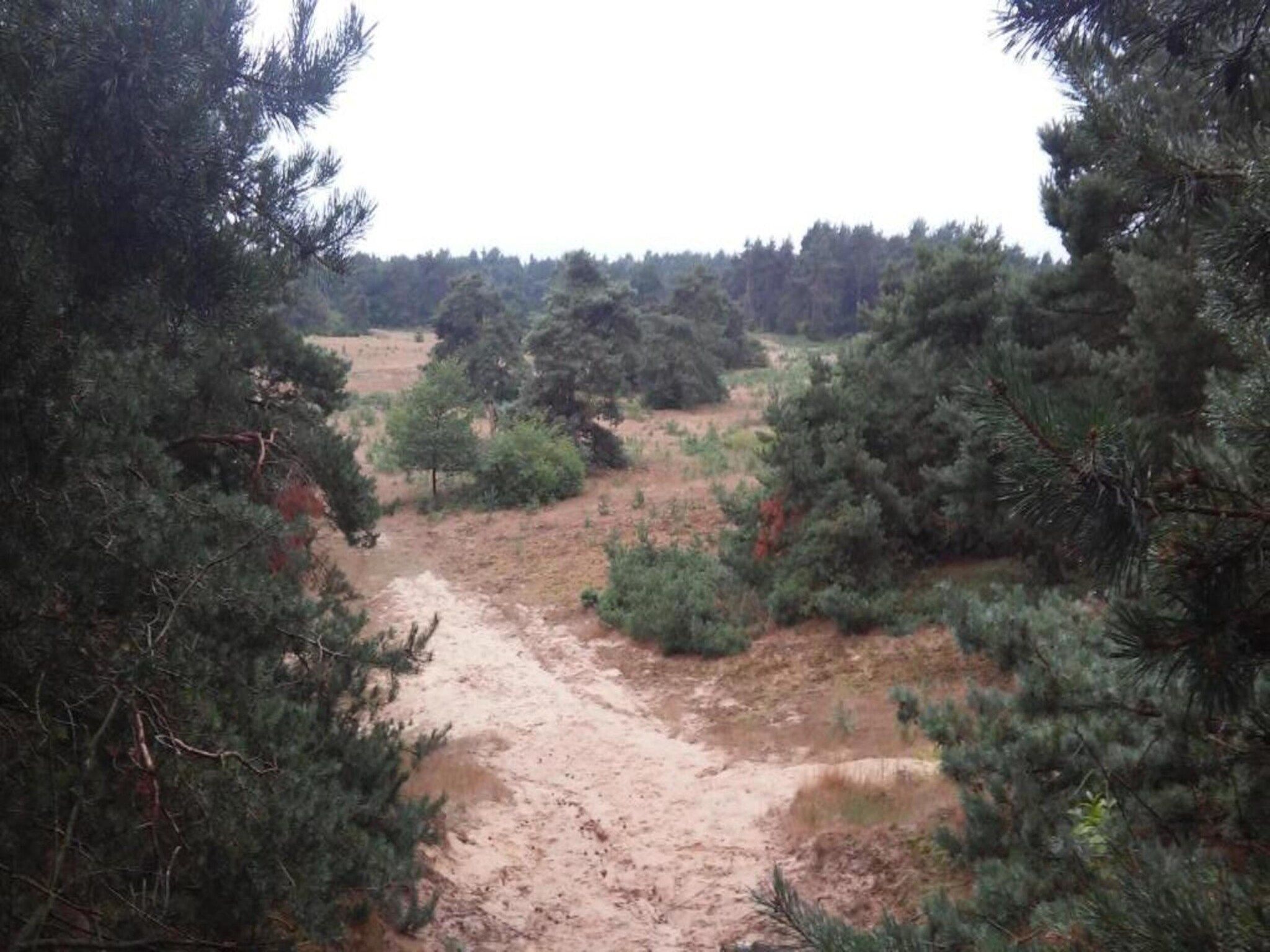 Landgoed De IJsvogel 3 in Voorthuizen - Foto 33 van 40