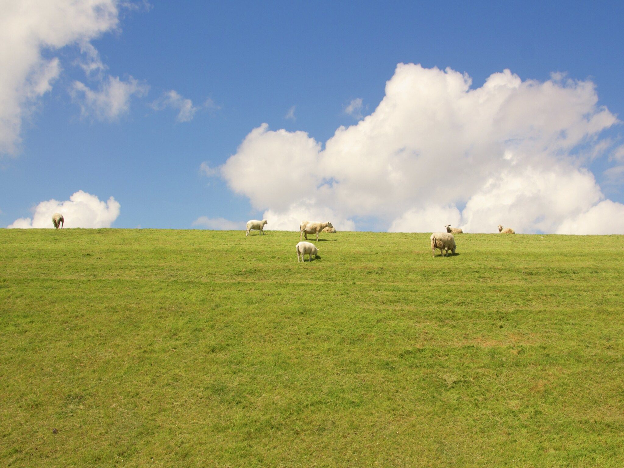 Zeedijk I in Tzummarum - Foto 33 van 40