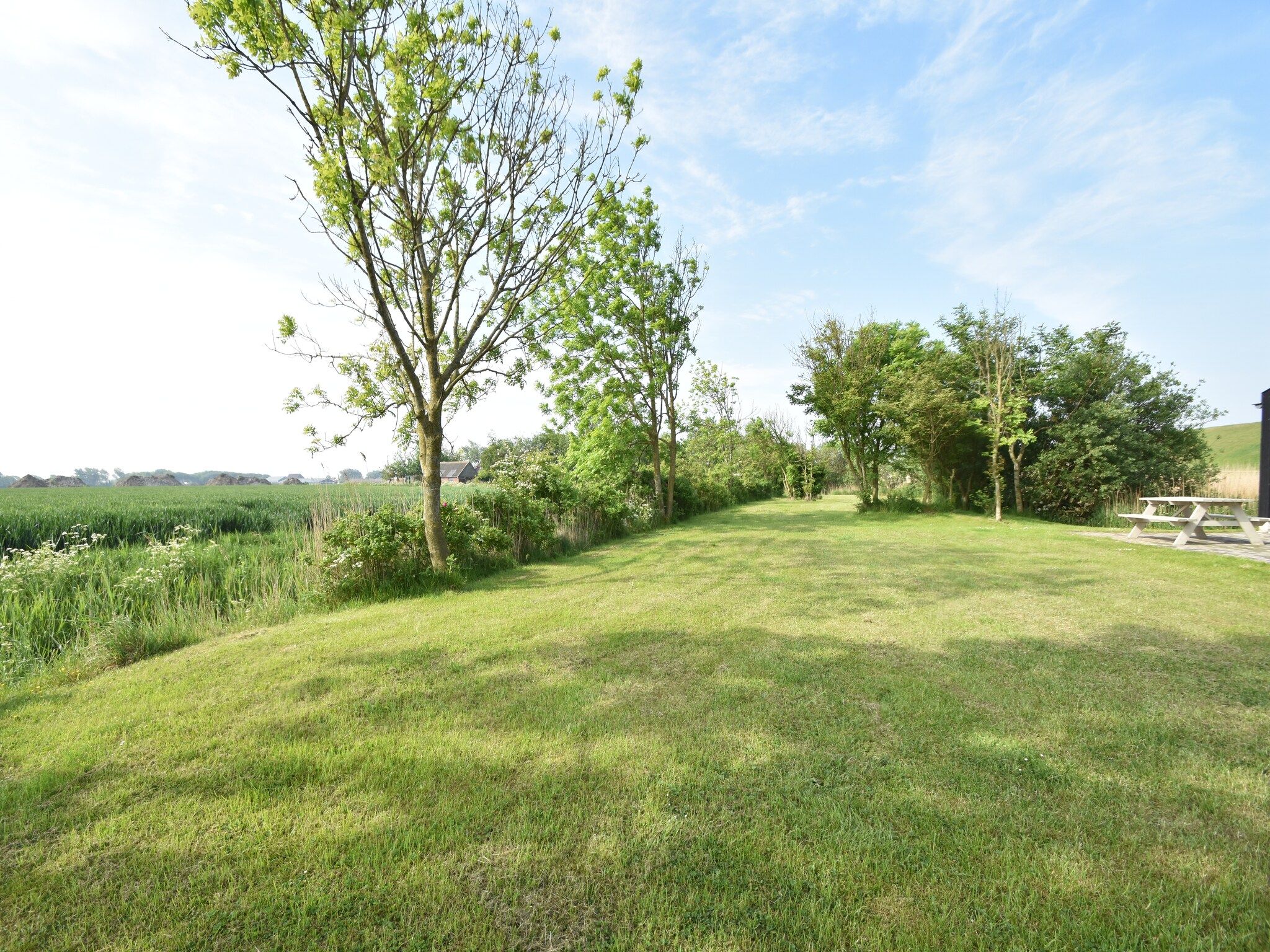 De tuin van Zeedijk I in Tzummarum