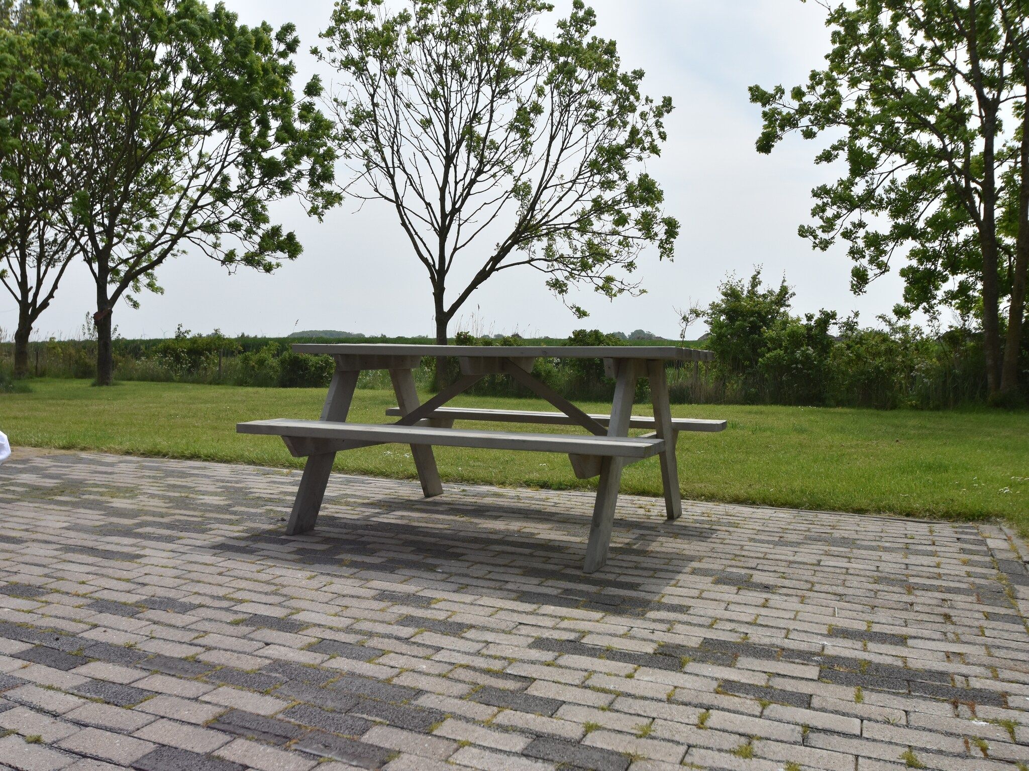 Het terras van Zeedijk I in Tzummarum