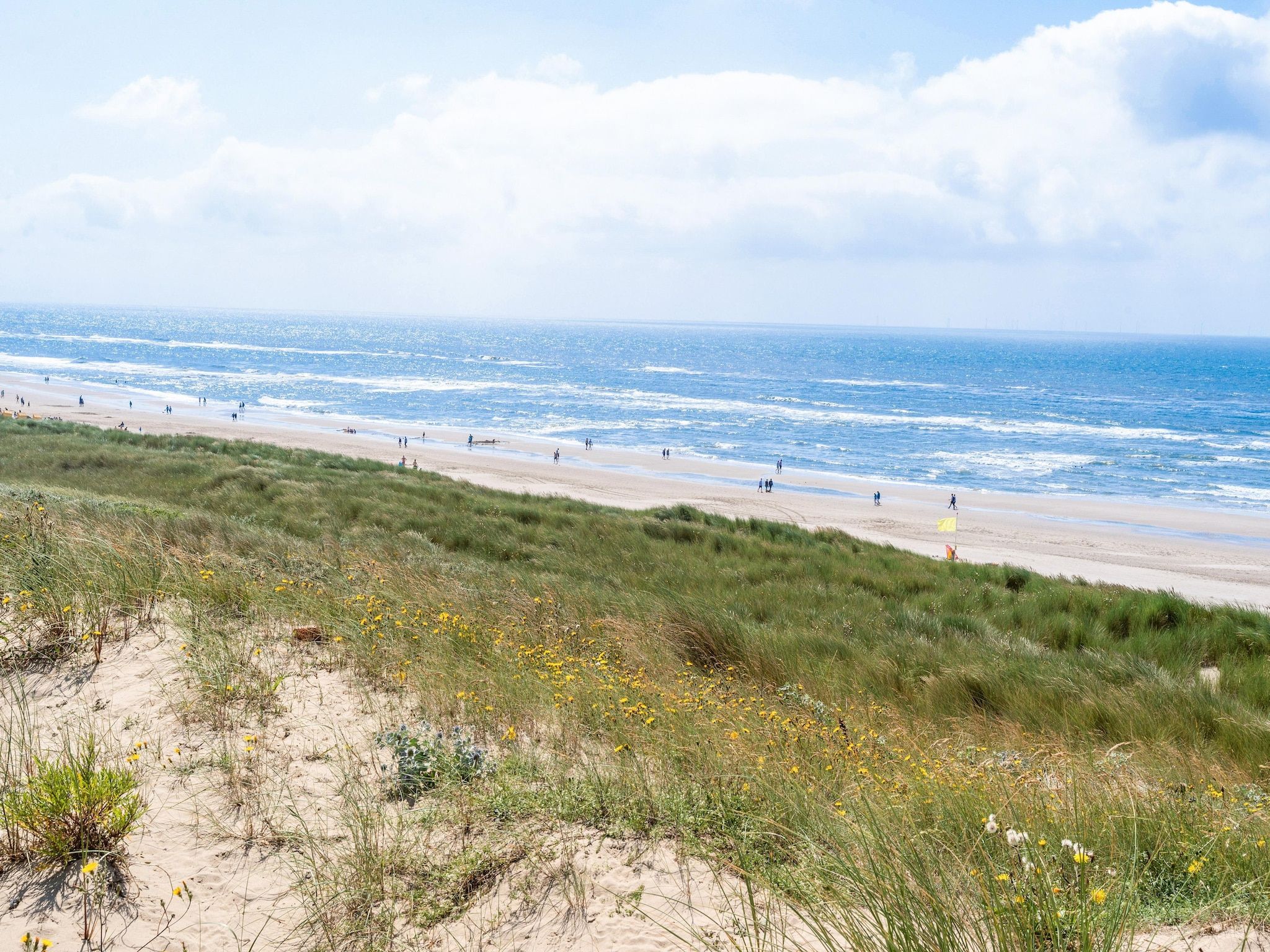 De omgeving van Naast het Bollenveld in Egmond-Binnen
