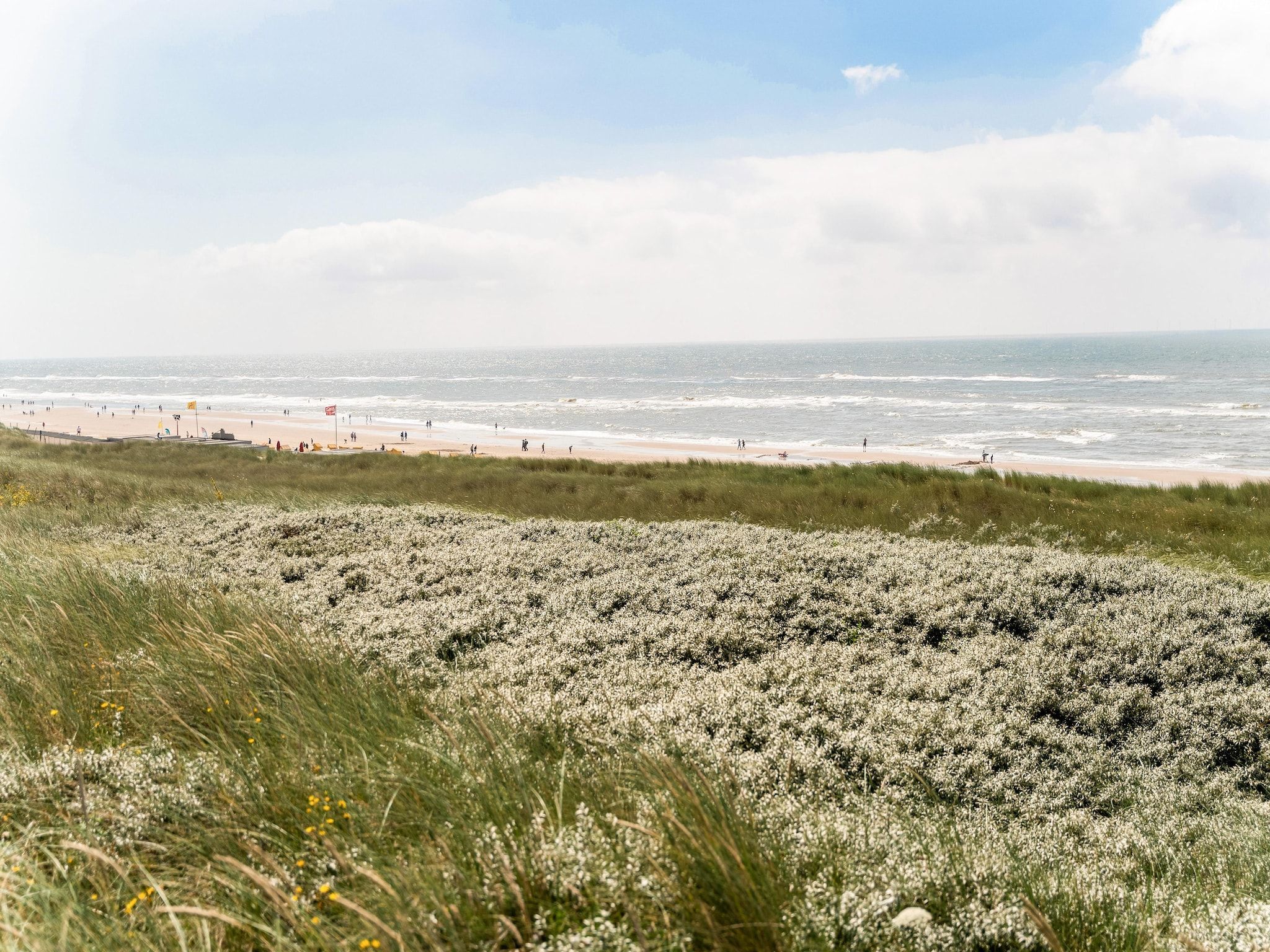 De omgeving van Naast het Bollenveld in Egmond-Binnen