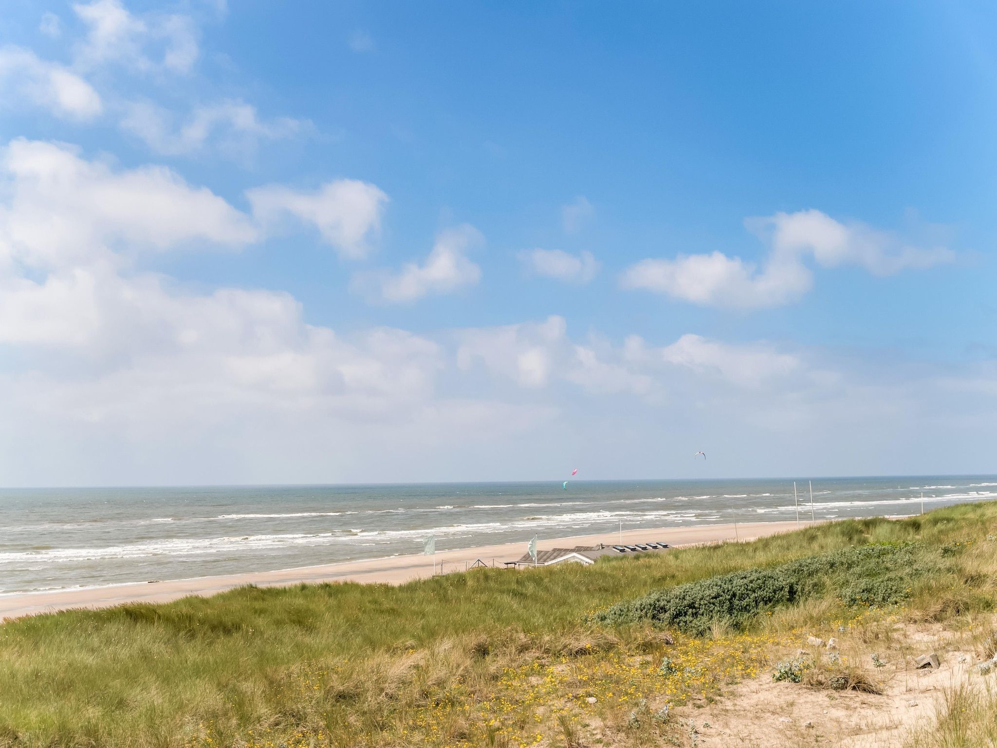 De omgeving van Naast het Bollenveld in Egmond-Binnen