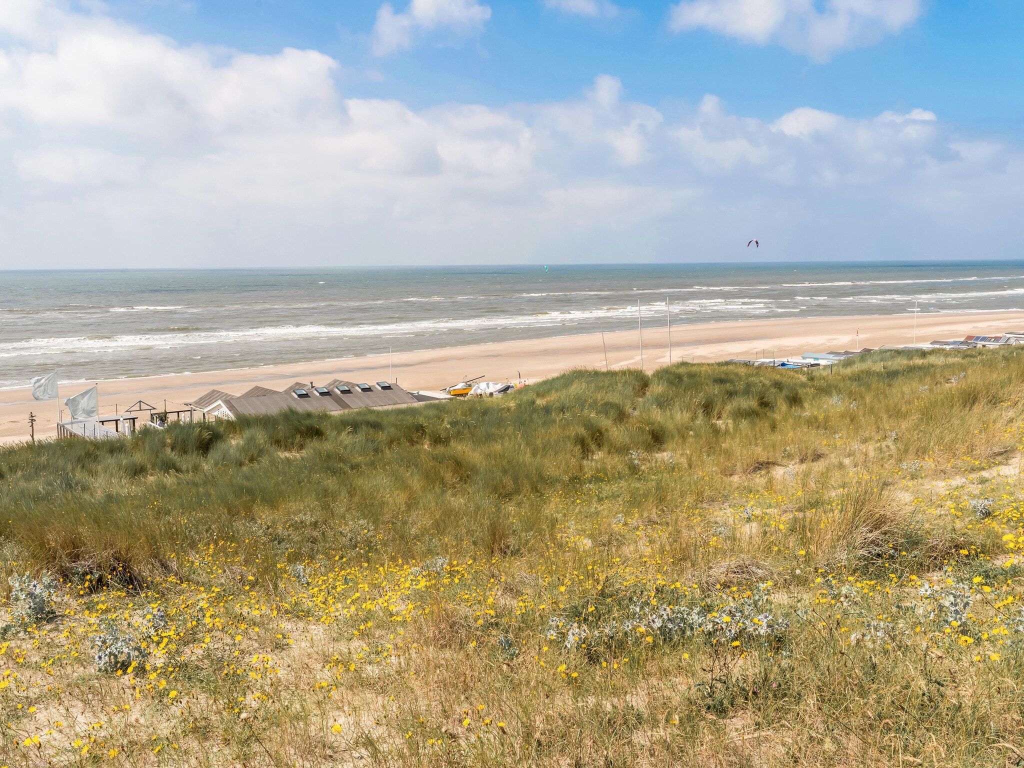 De omgeving van Naast het Bollenveld in Egmond-Binnen