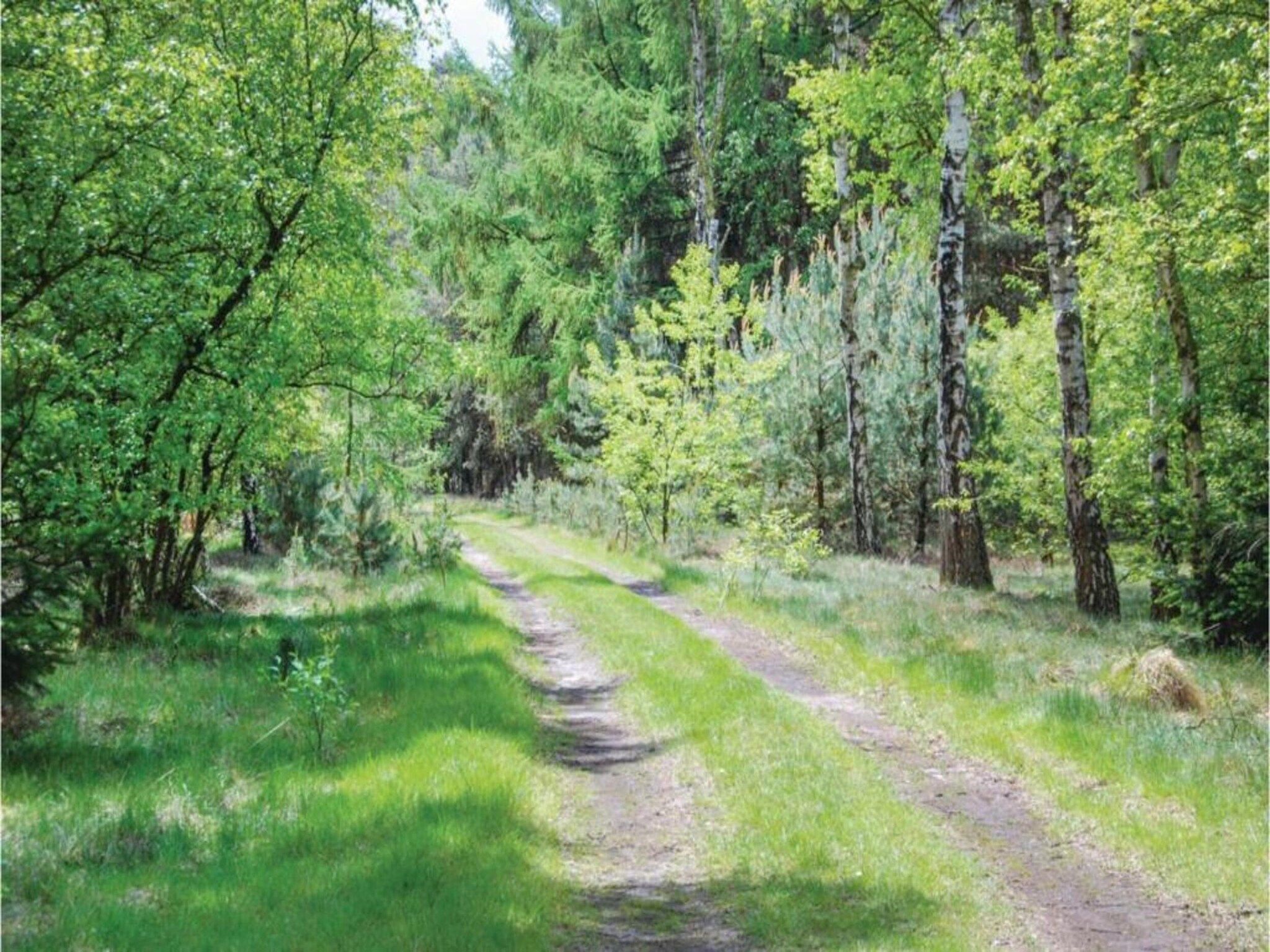 Dorpswoning De Plek in Leende - Foto 33 van 40