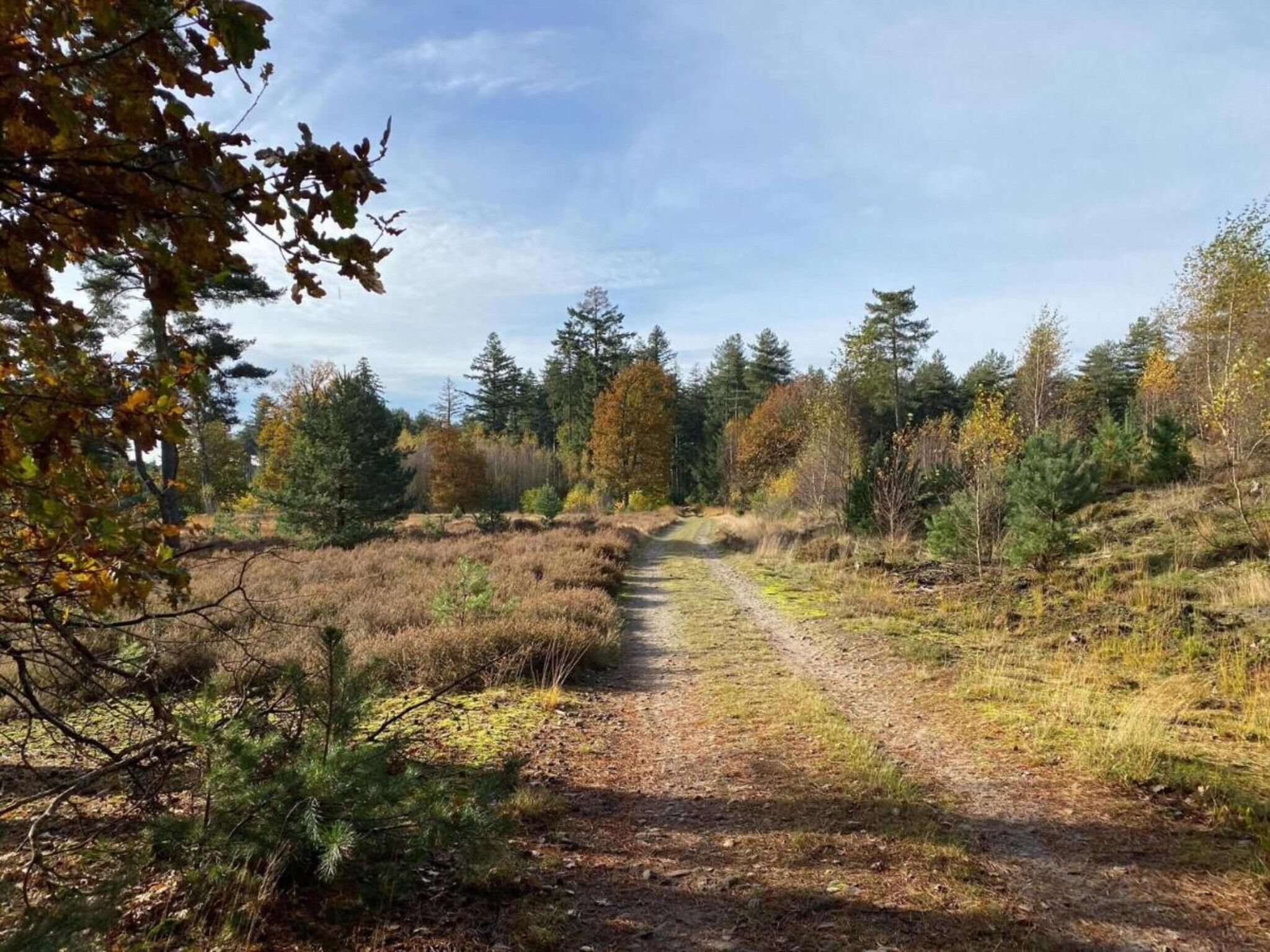 Dorpswoning De Plek in Leende - Foto 36 van 40