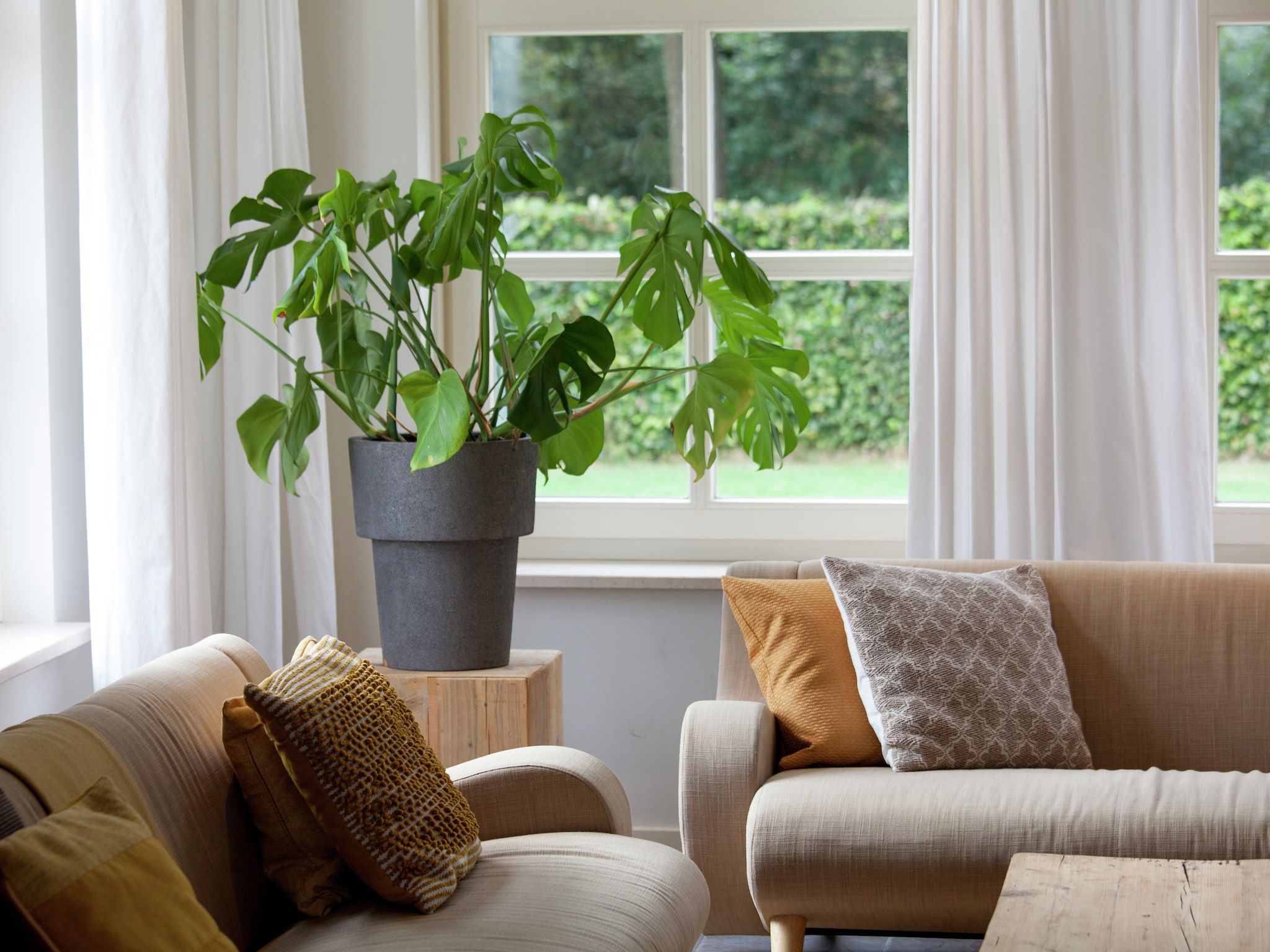 Sfeerbeeld van Dorpswoning Het Uitzicht in Leende