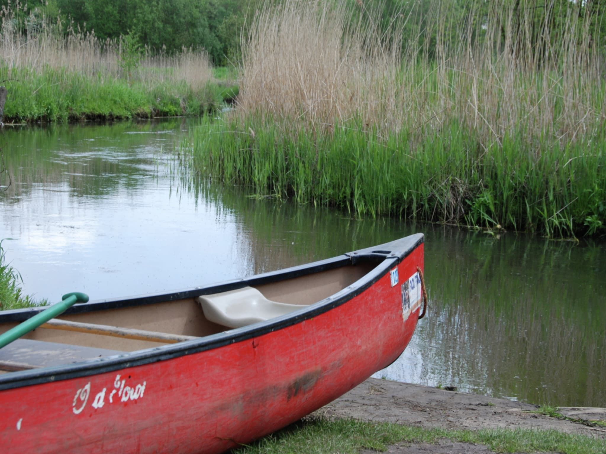De omgeving van Dorpswoning Het Knusse in Leende