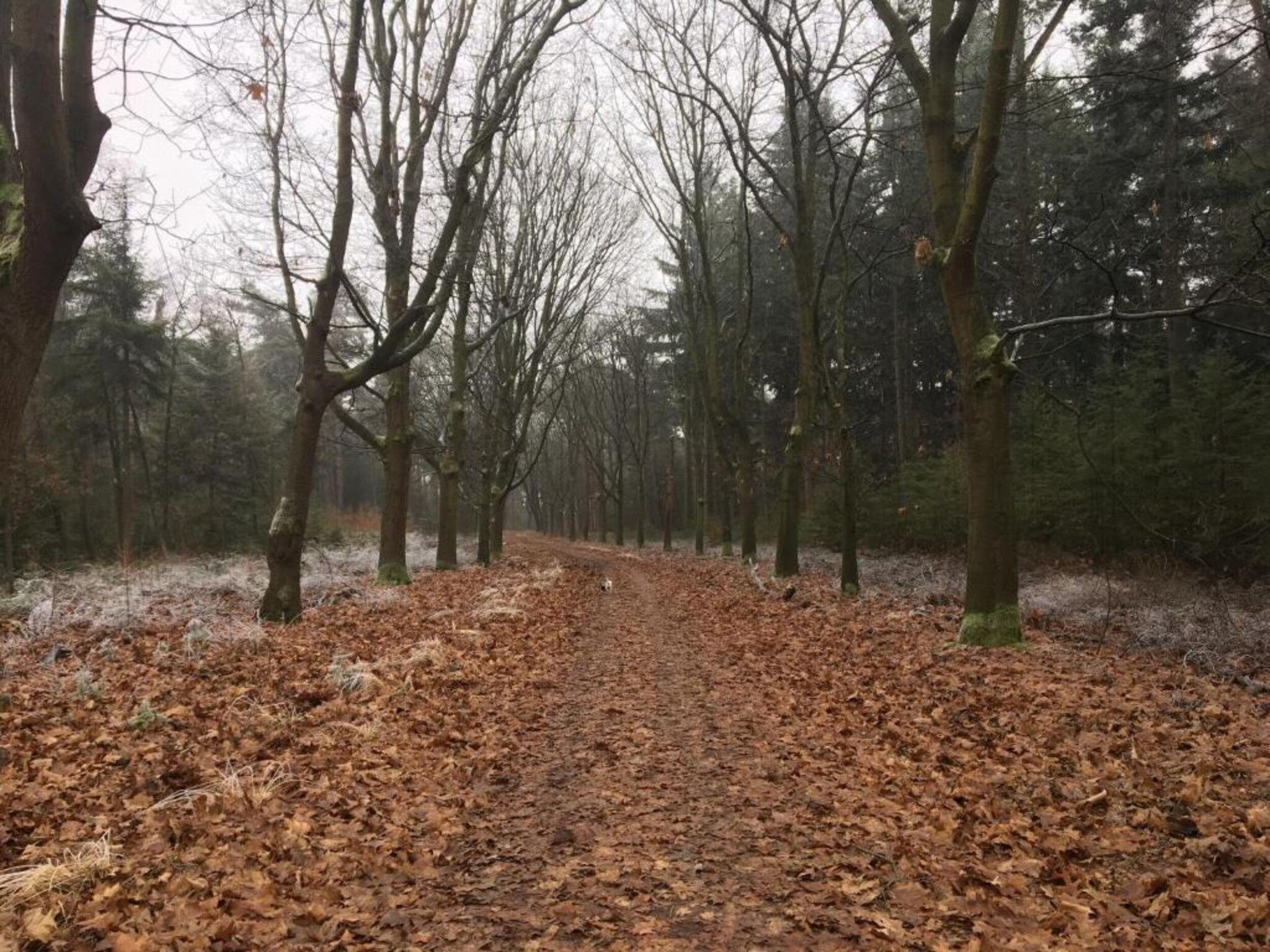 Dorpswoning Het Knusse in Leende - Foto 34 van 40