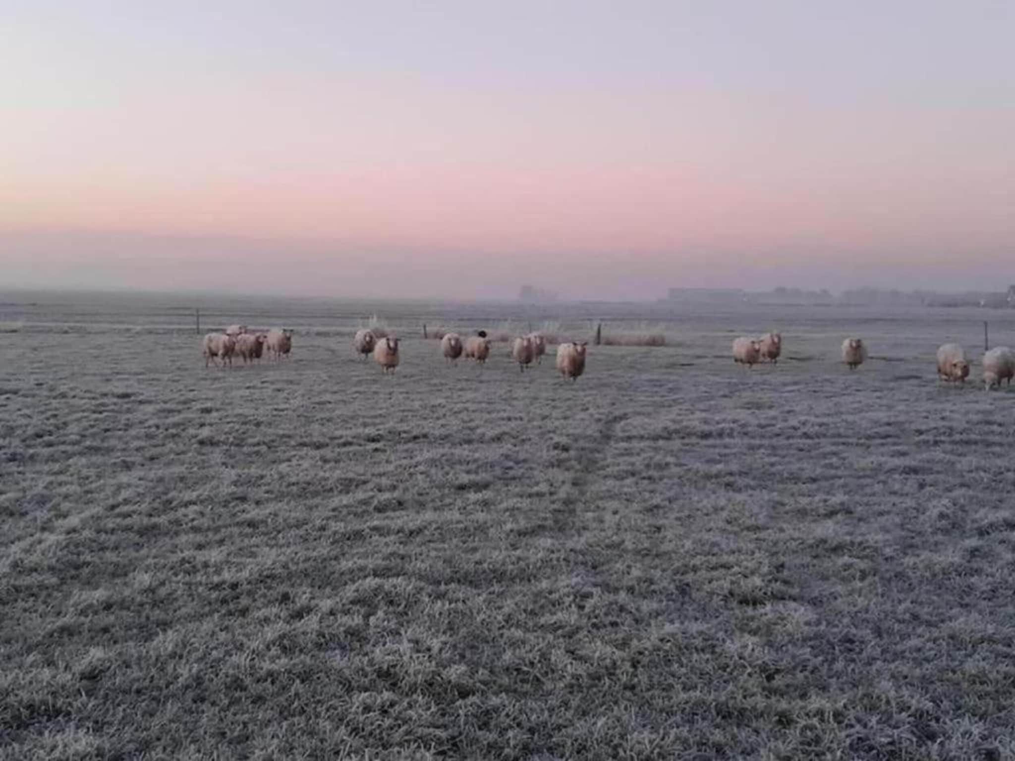 Landgoed Eysinga State 3 in Sint Nicolaasga - Foto 29 van 38