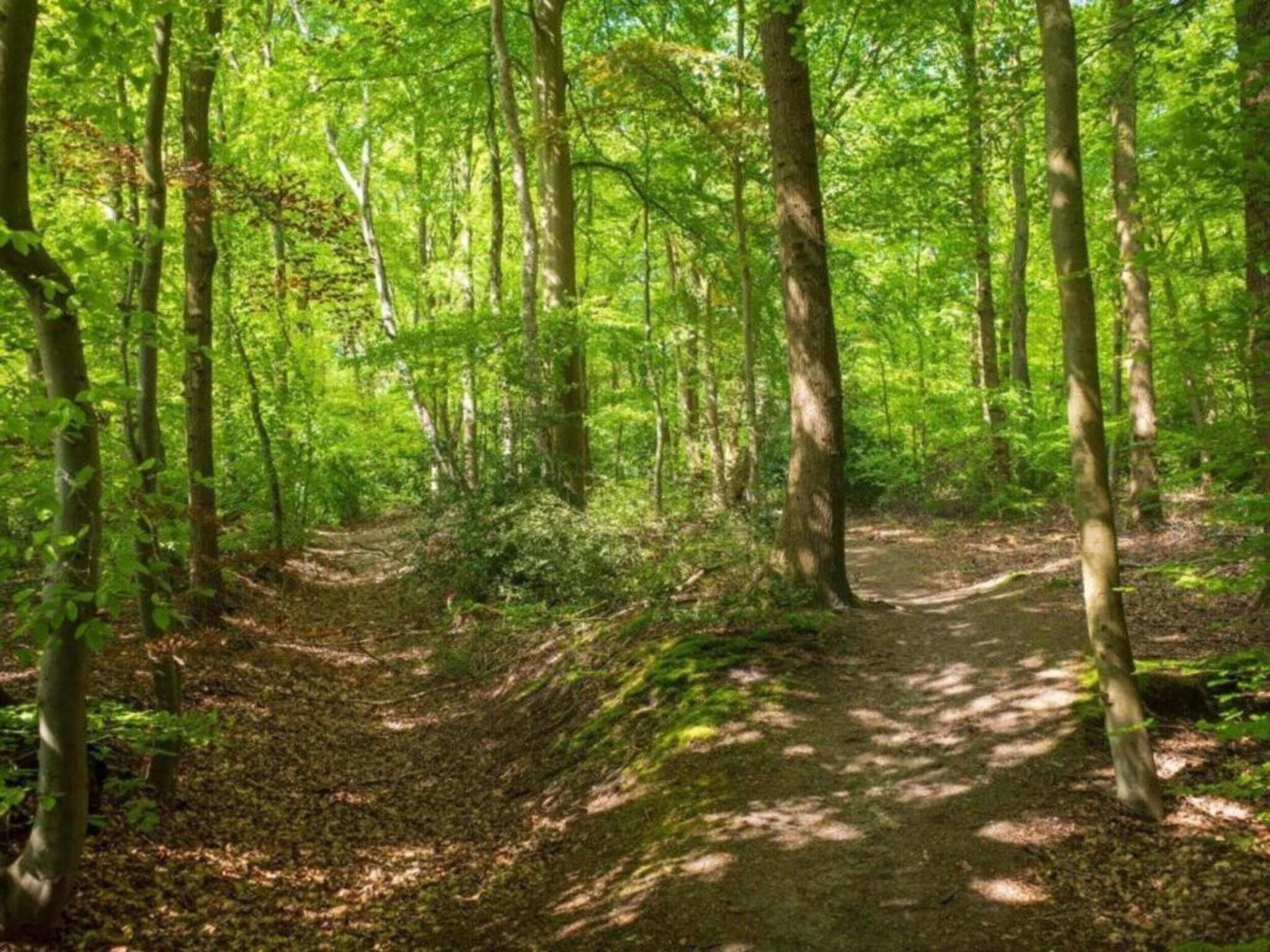 Aan de Oosterschelde in Kattendijke - Foto 38 van 40